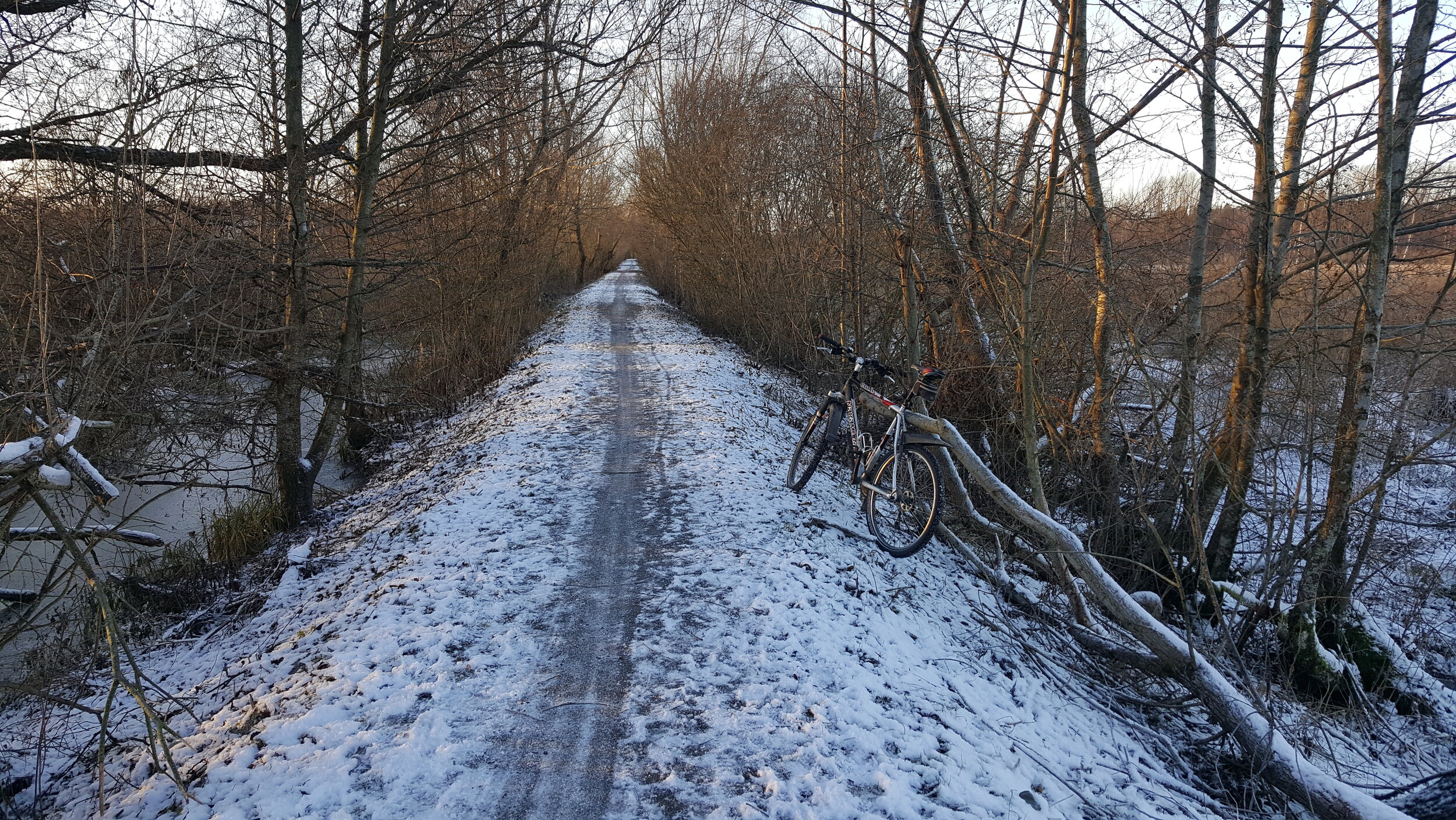 20241211_134053 - Copy.jpg