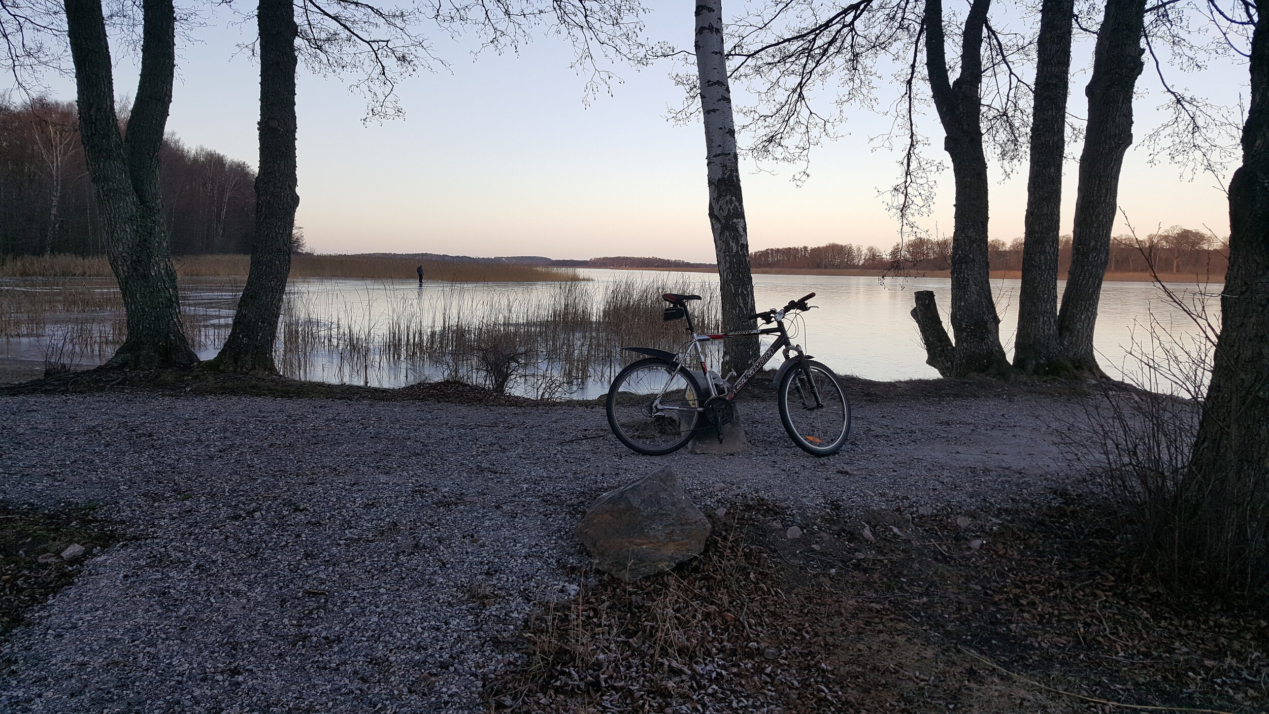 20241211_140404 - Copy.jpg