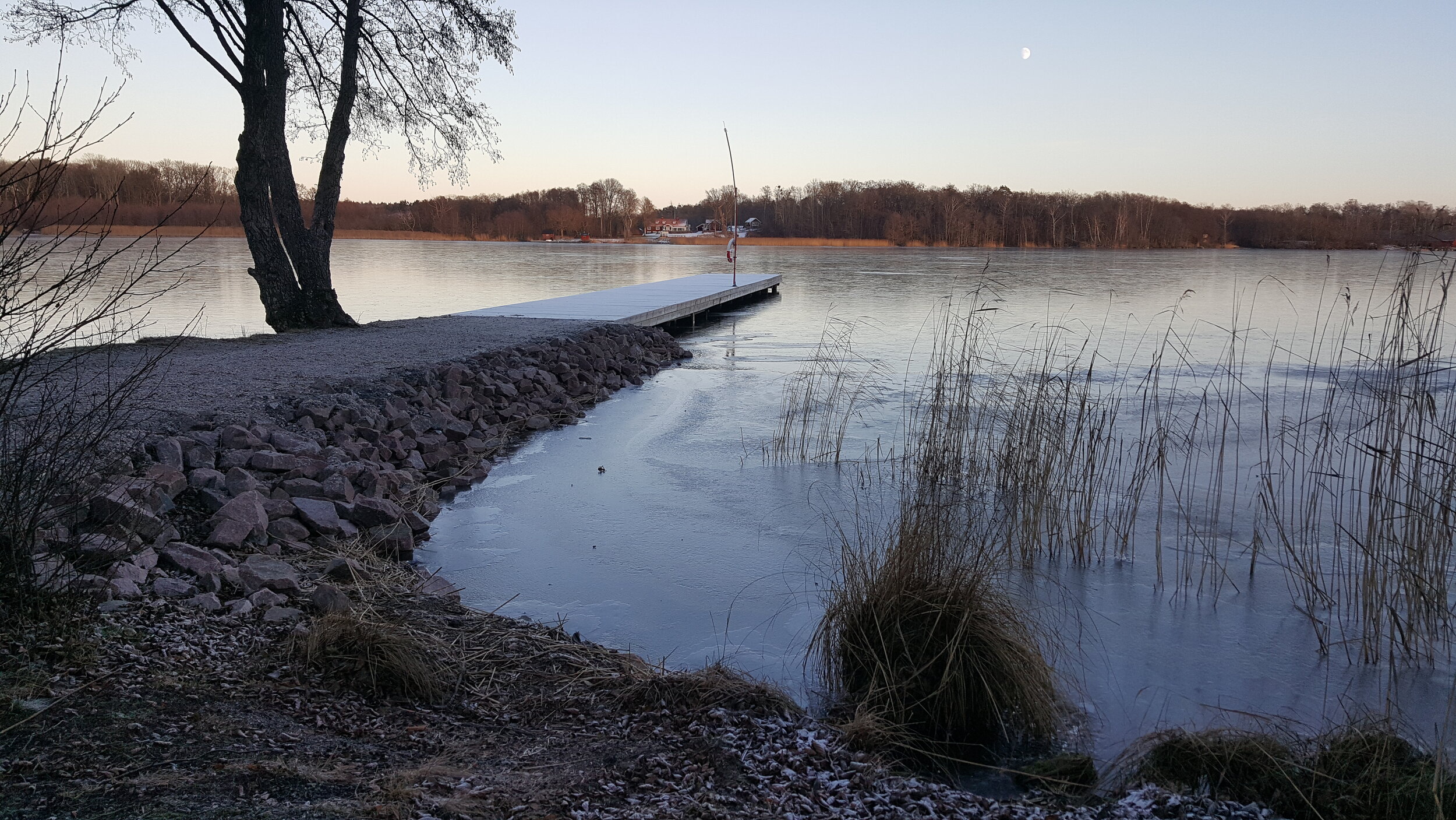 20241211_140420 - Copy.jpg