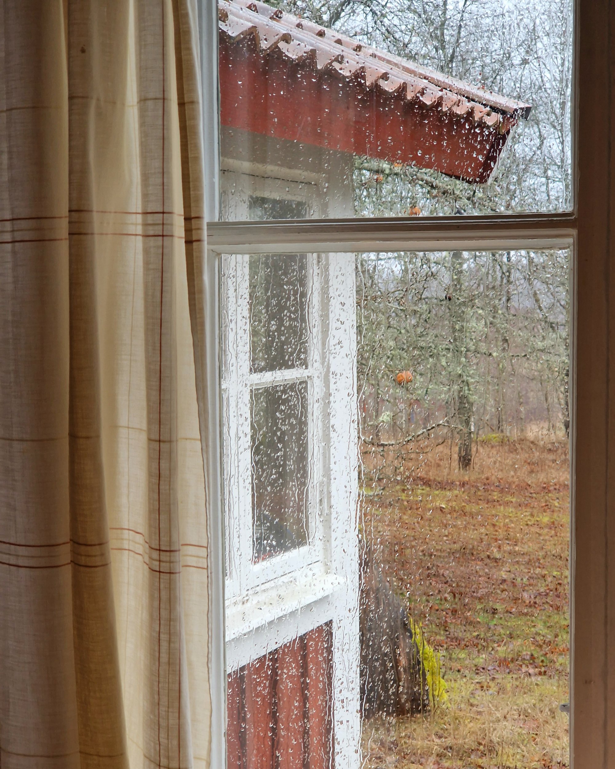 20241214_115111.jpg