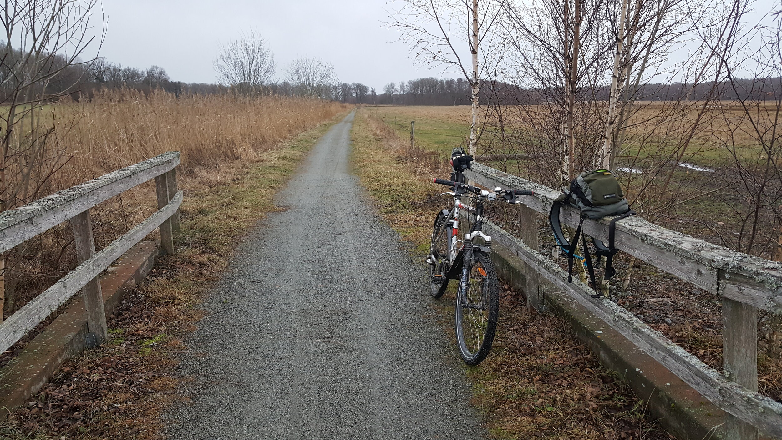 20241219_135733 - Copy.jpg
