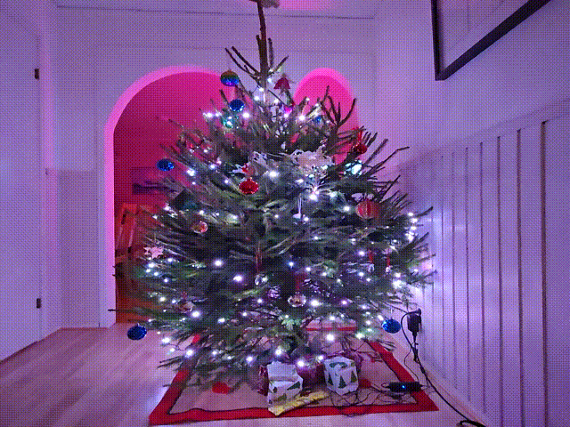 20241221_144805.gif