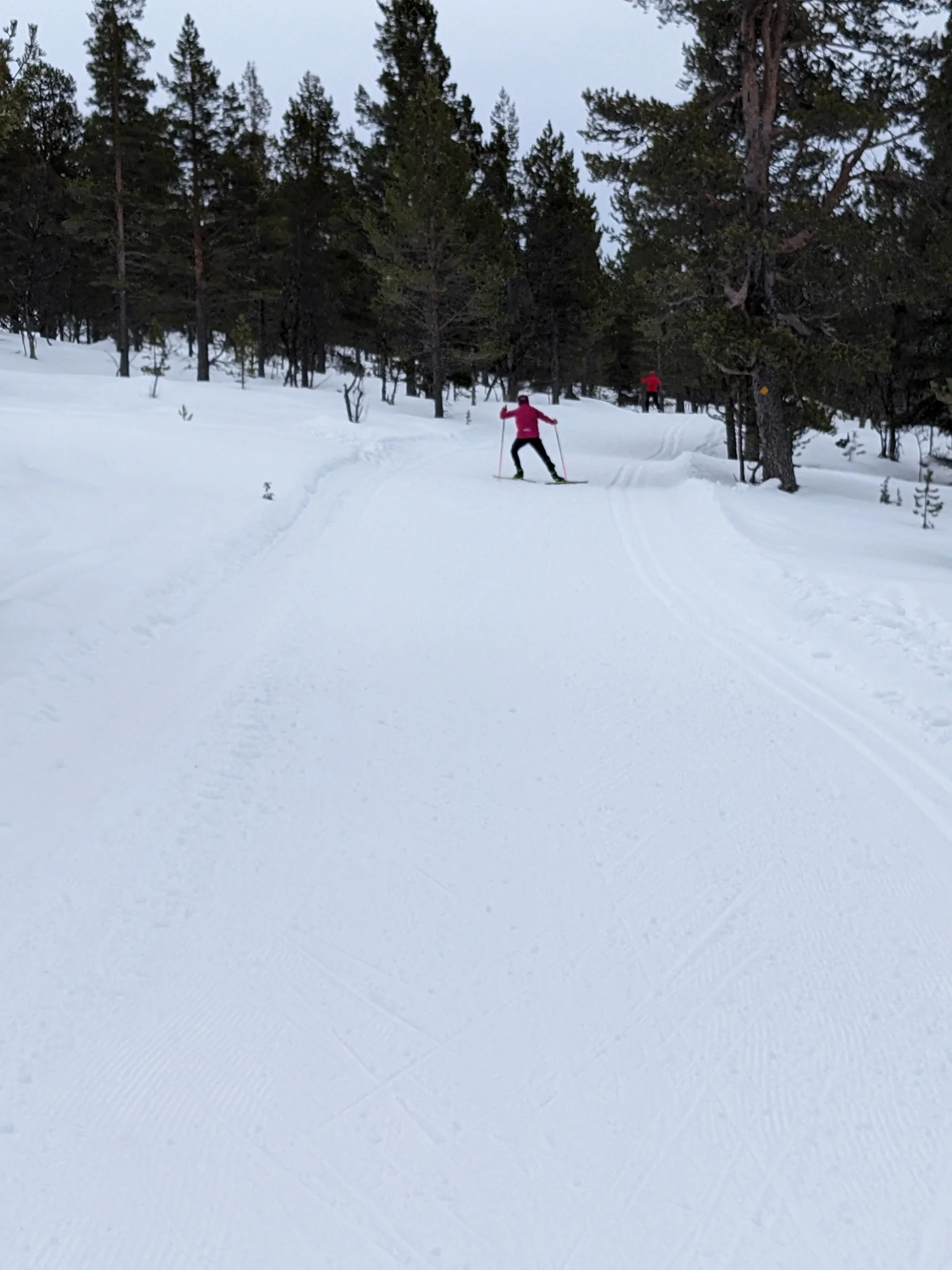 2025-03-01-13-21-58-355.webp