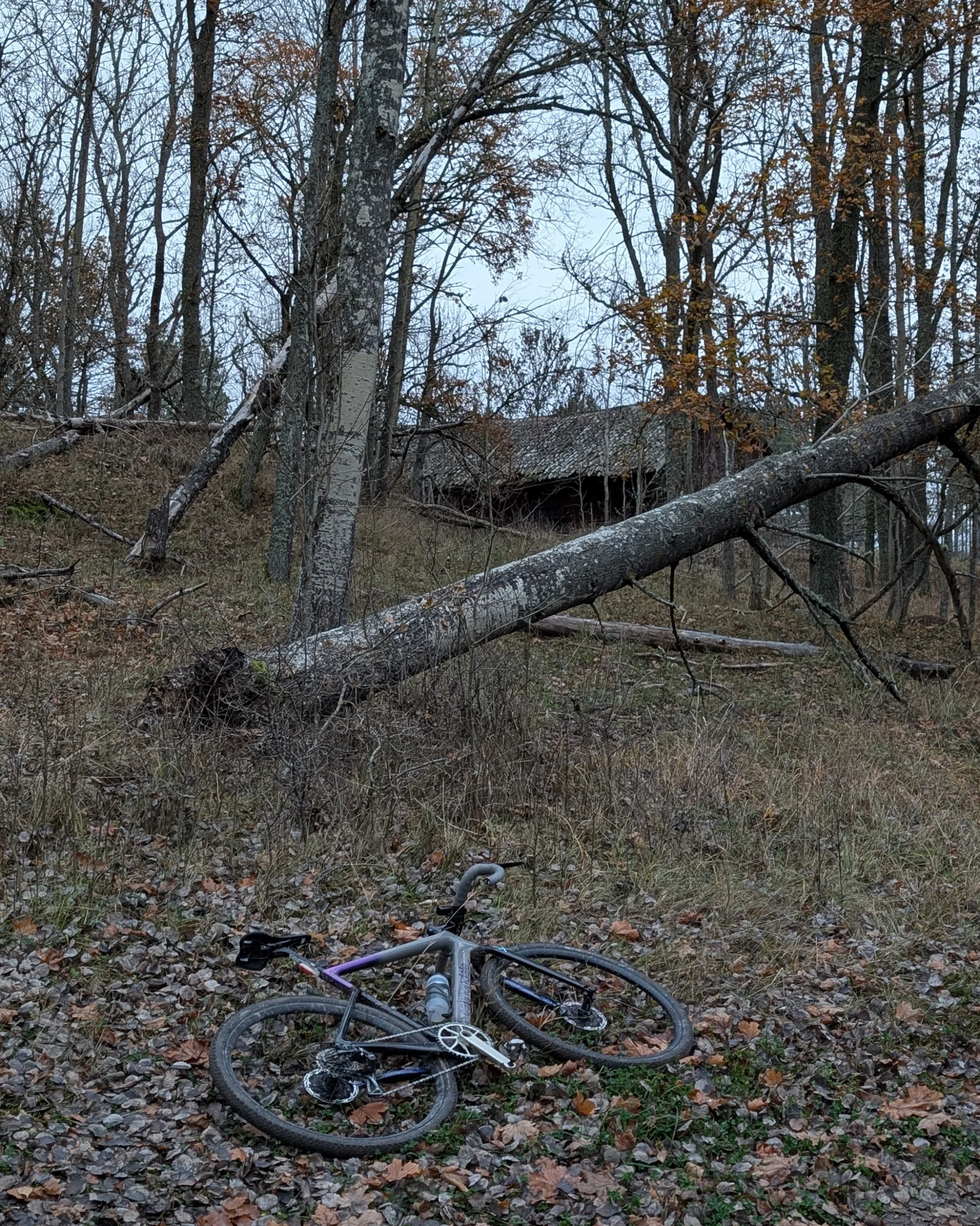 2025-11-09-18-13-59-469.webp