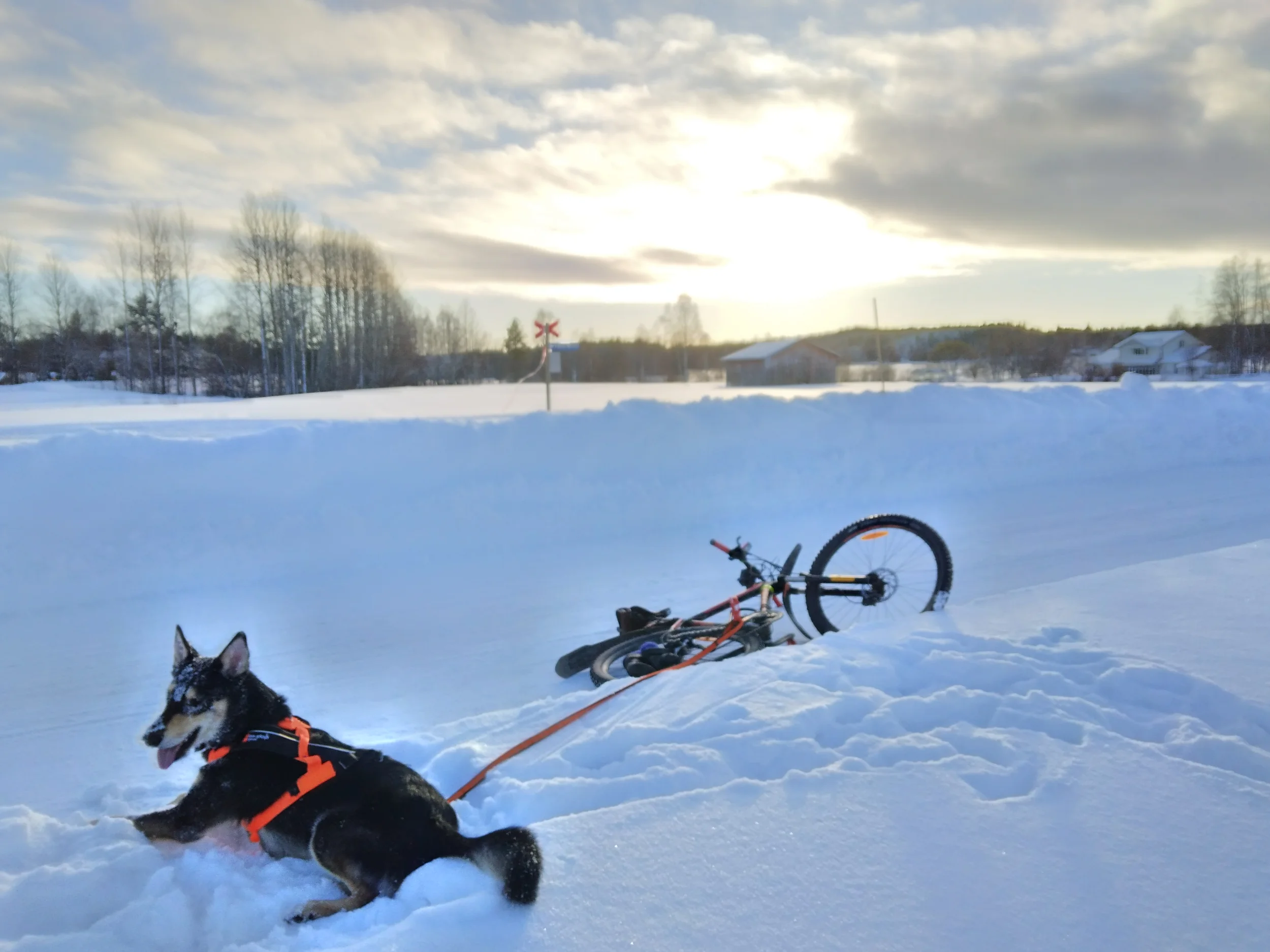 20250201_131133.webp