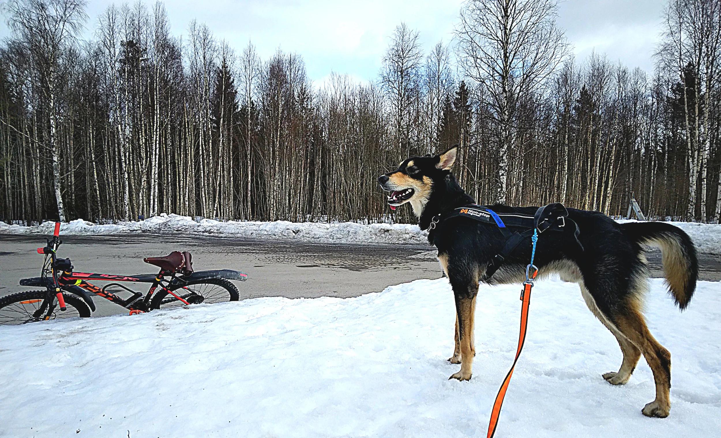 20250319_104340.webp