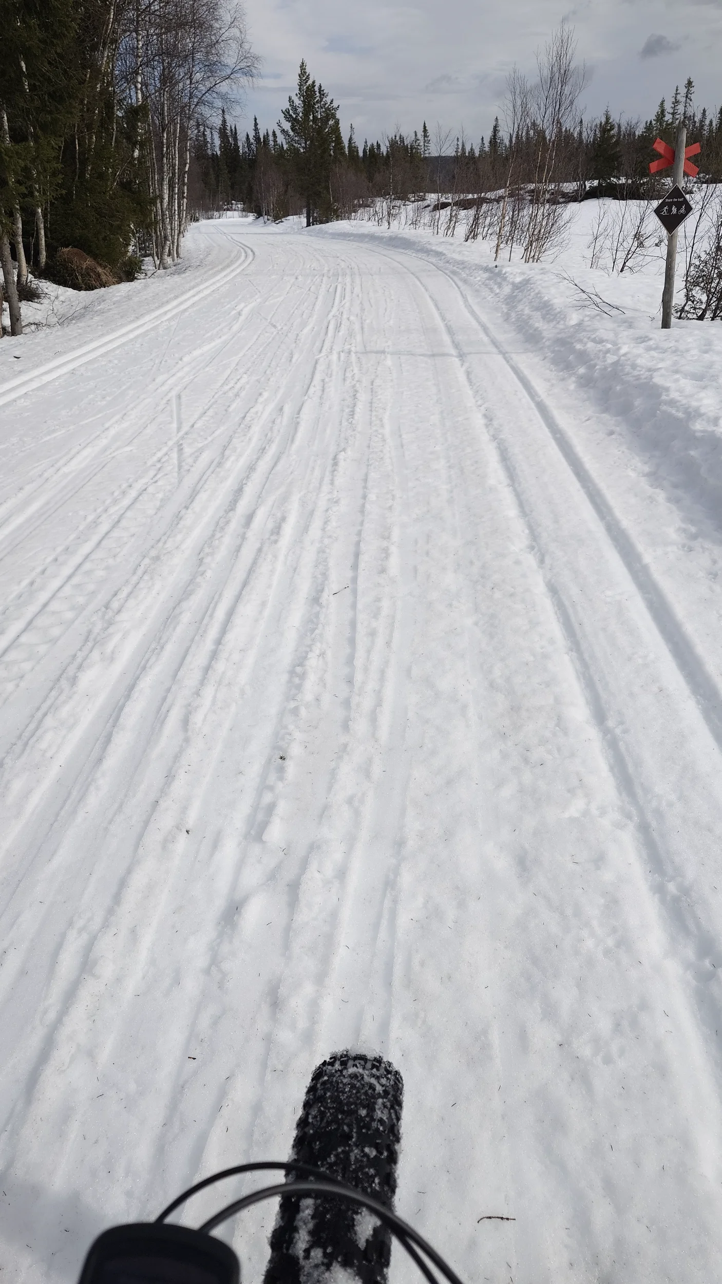 20250403_122434 (1).webp