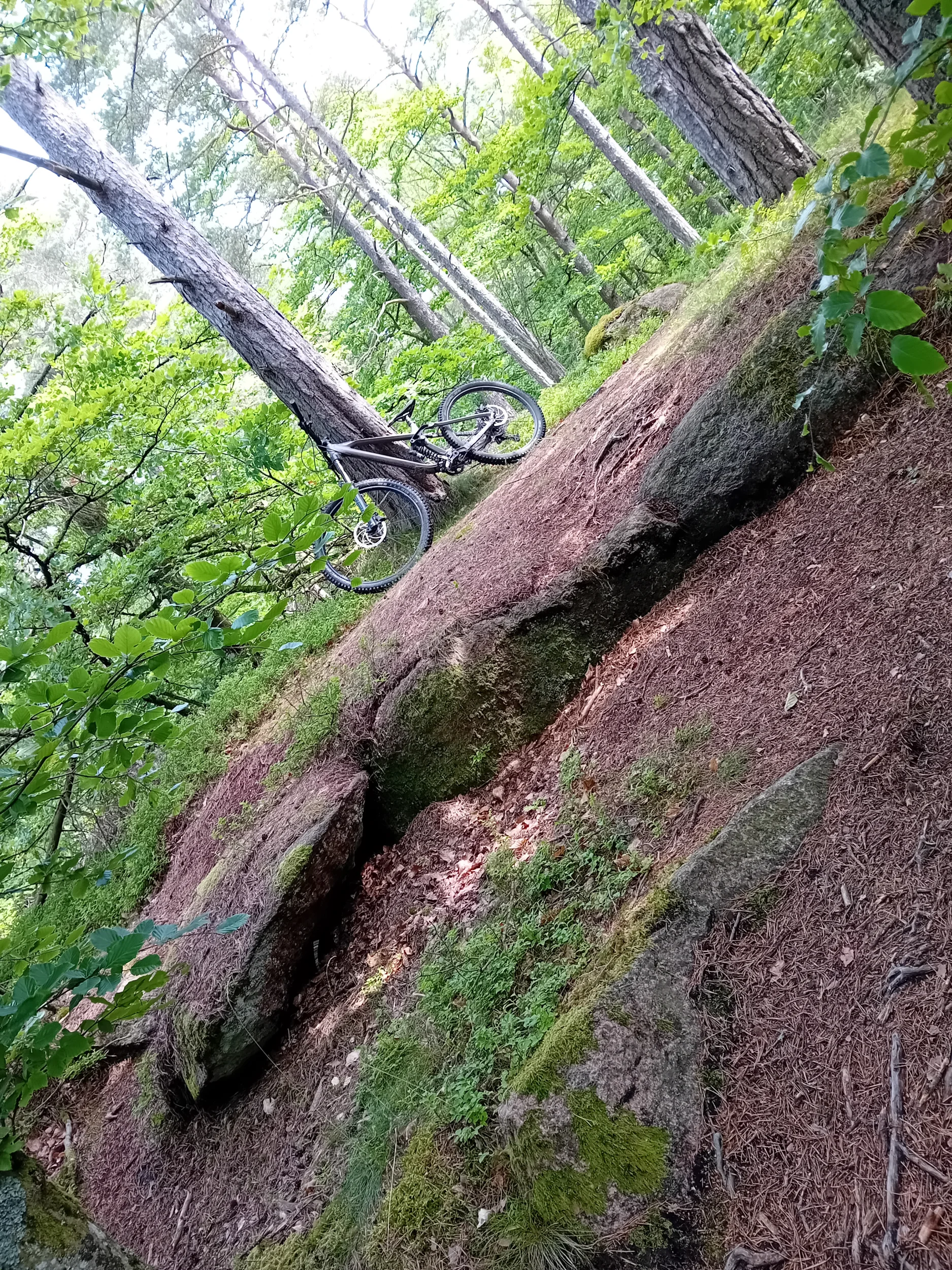 20250616_093343.webp