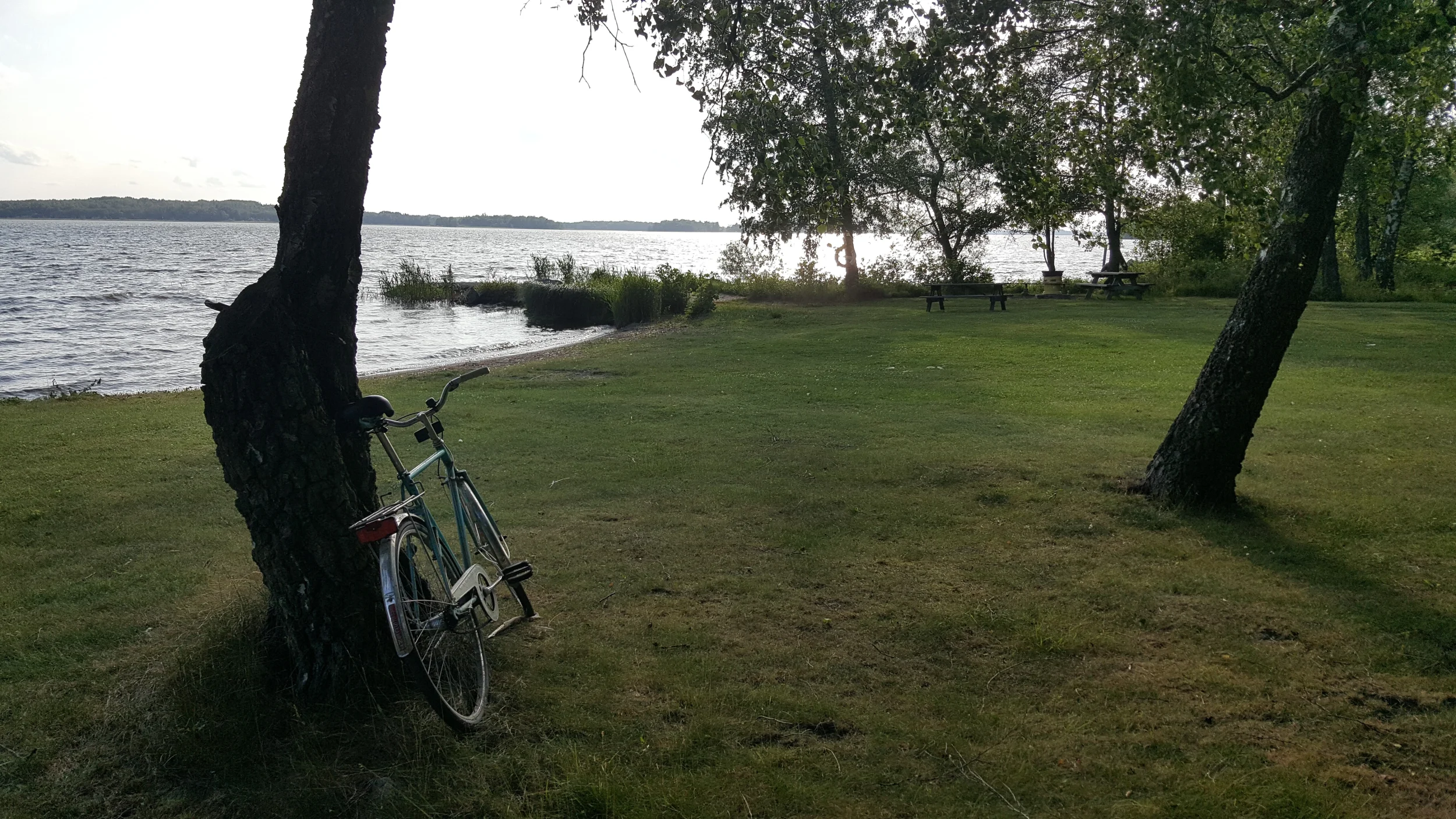 20250616_184301 - Copy.webp