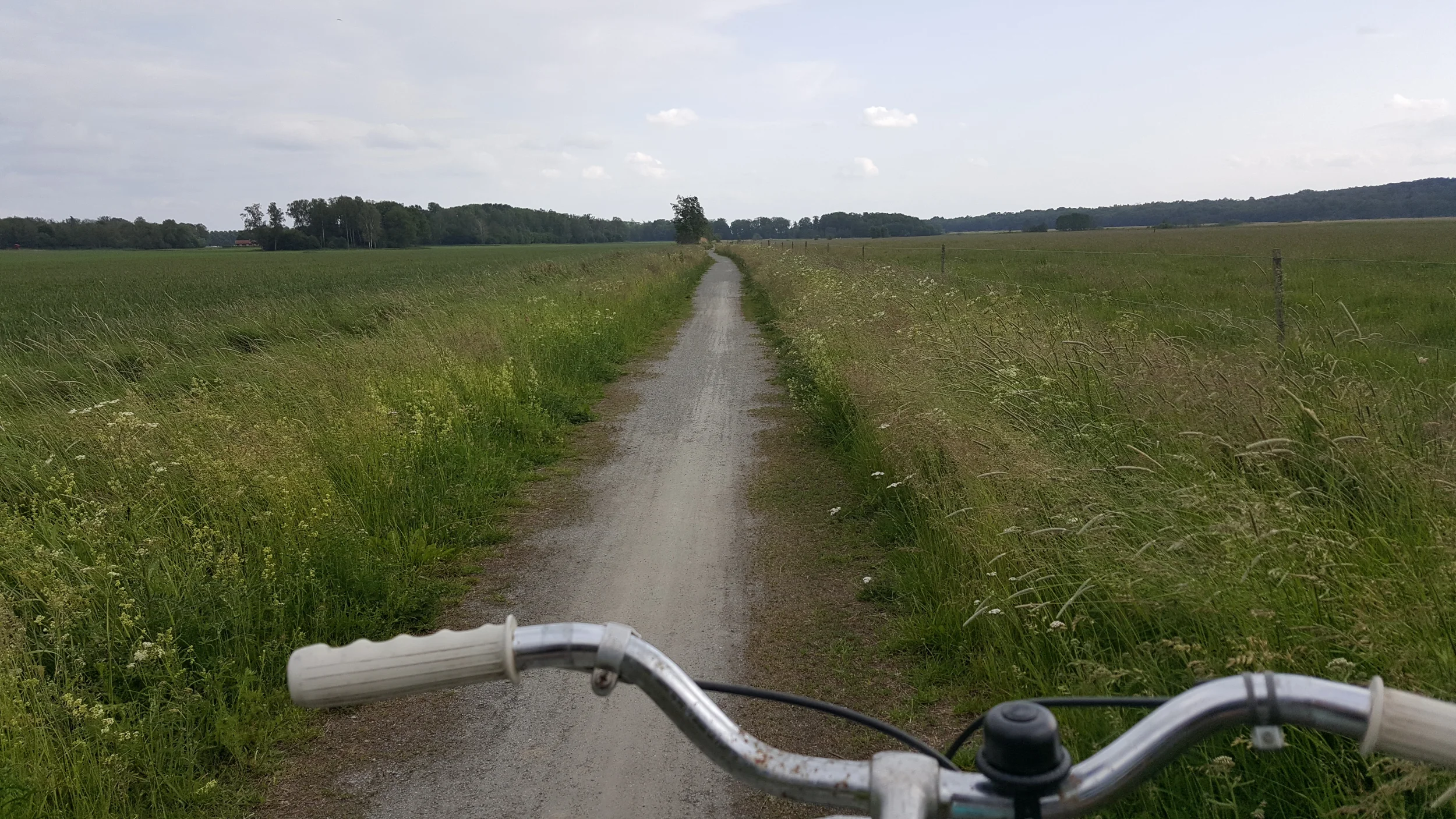 20250617_174706 - Copy.webp