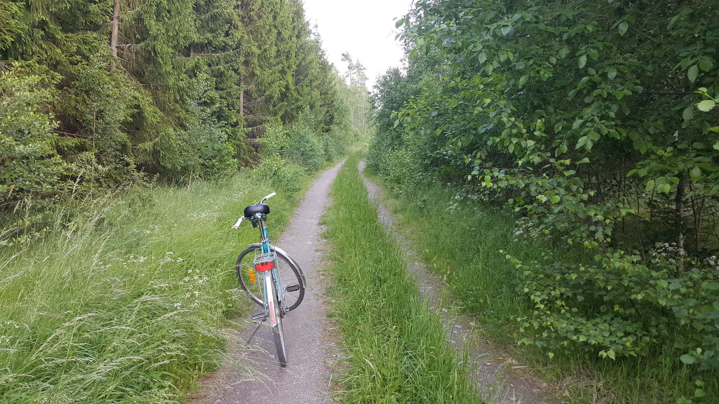 20250617_180651 - Copy.webp