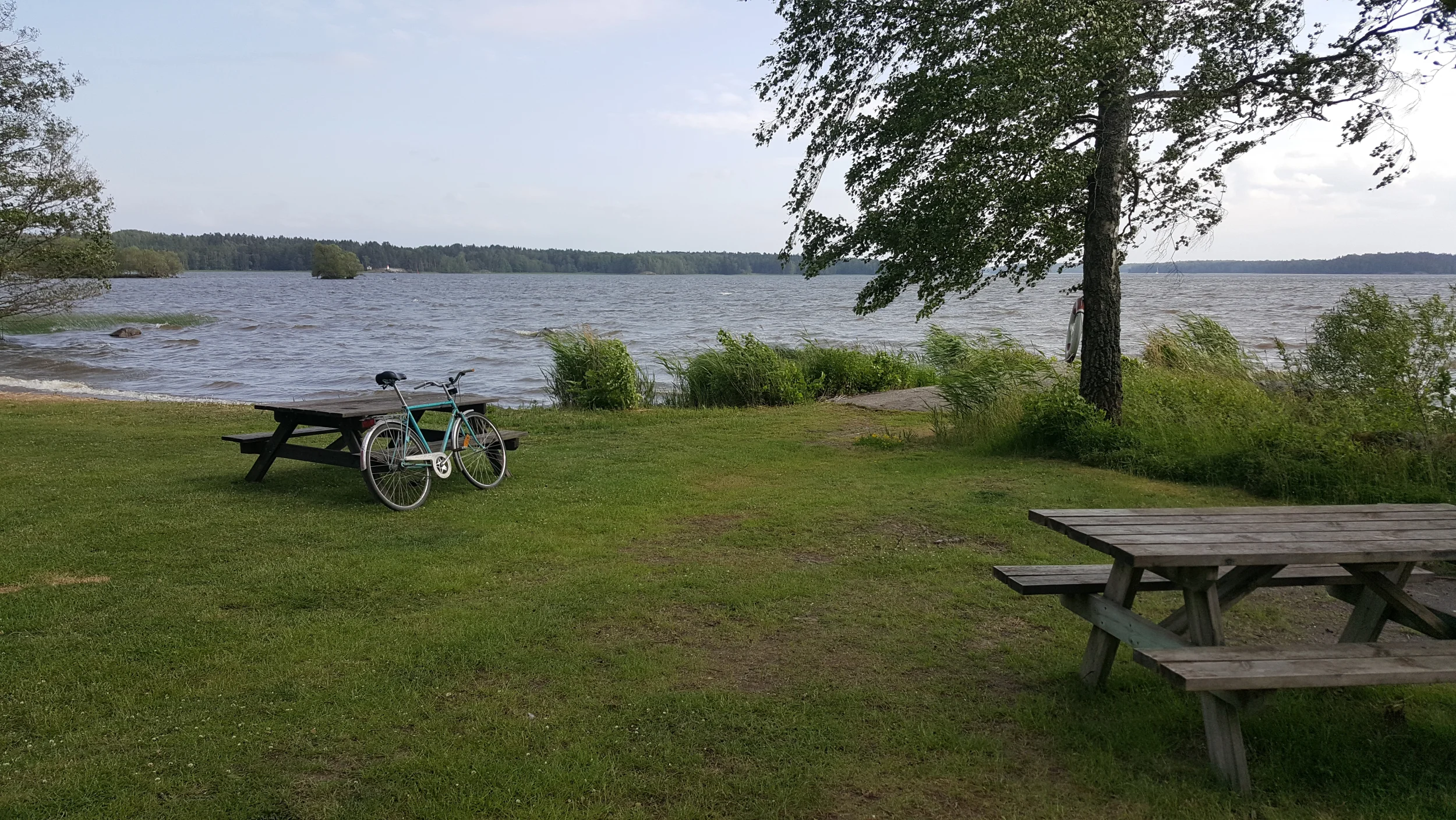 20250617_181533 - Copy.webp
