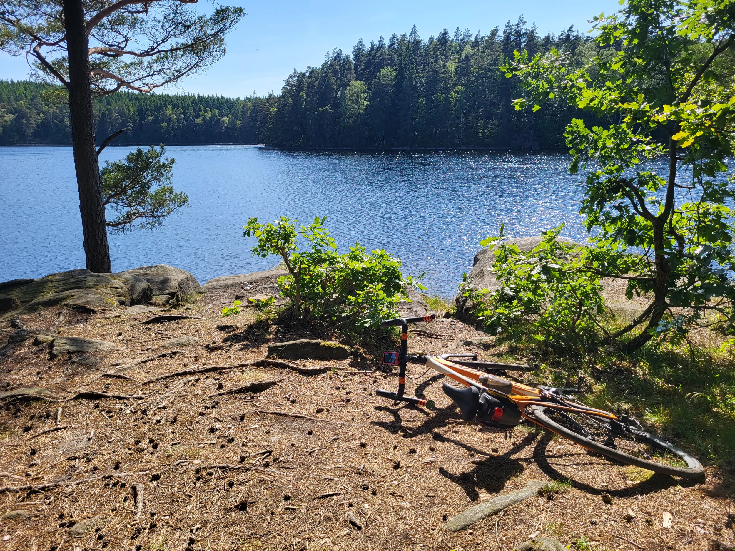 20250621_162757.webp