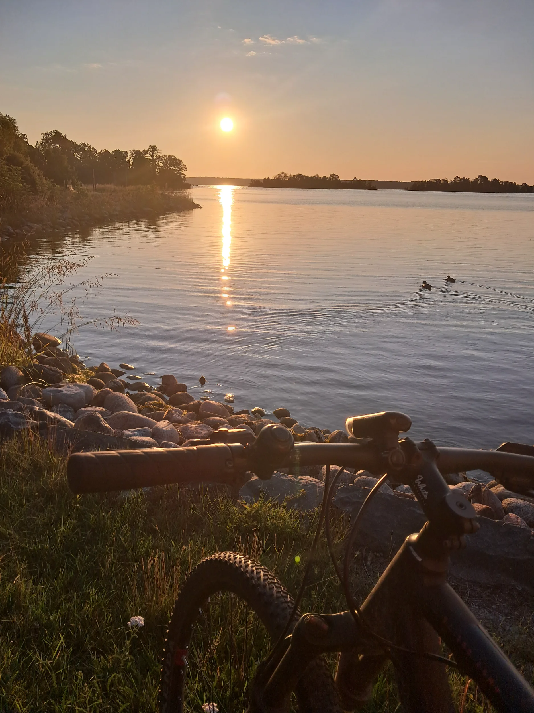 20250718_050526.webp