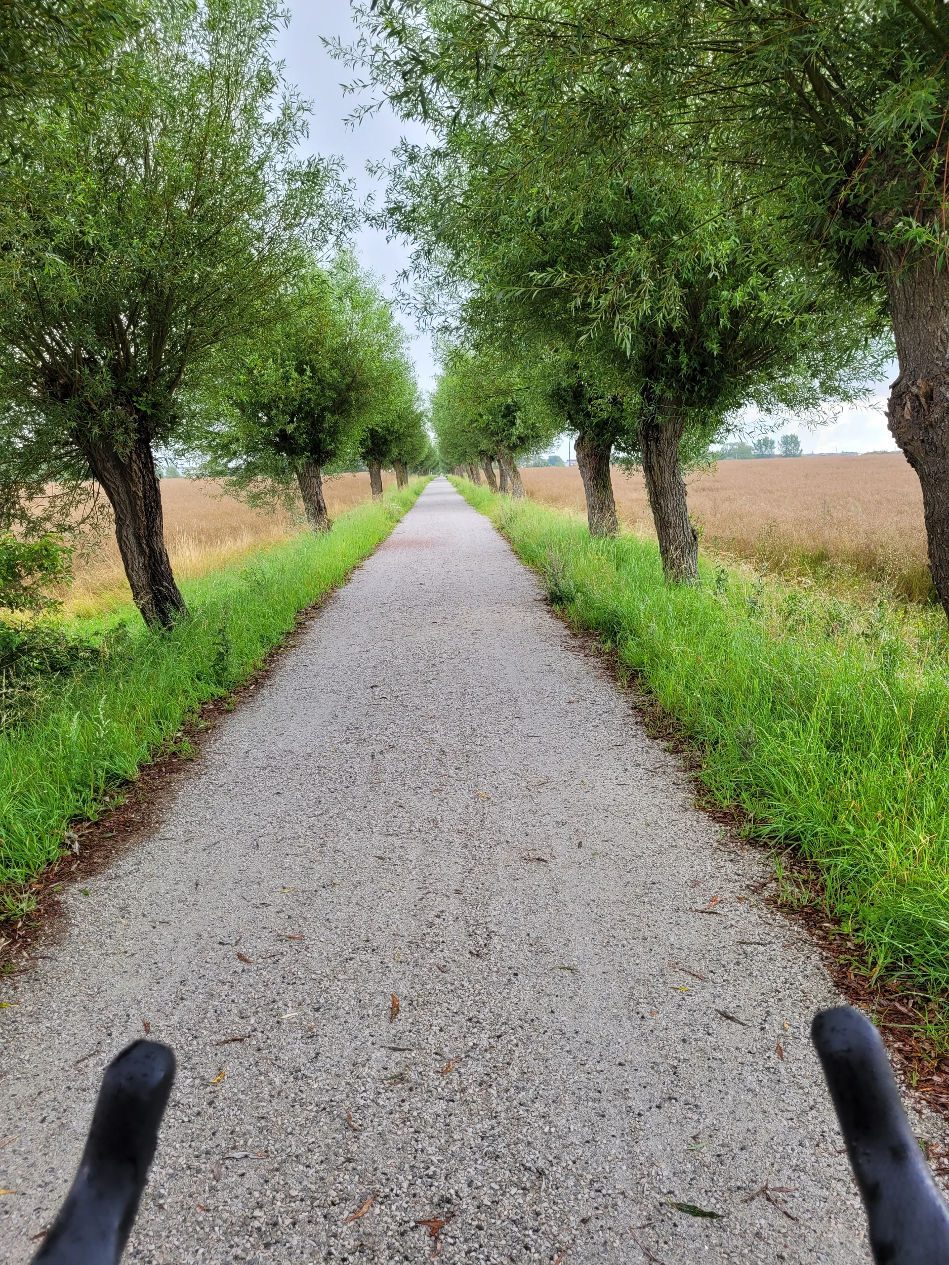 20250801_114711.webp