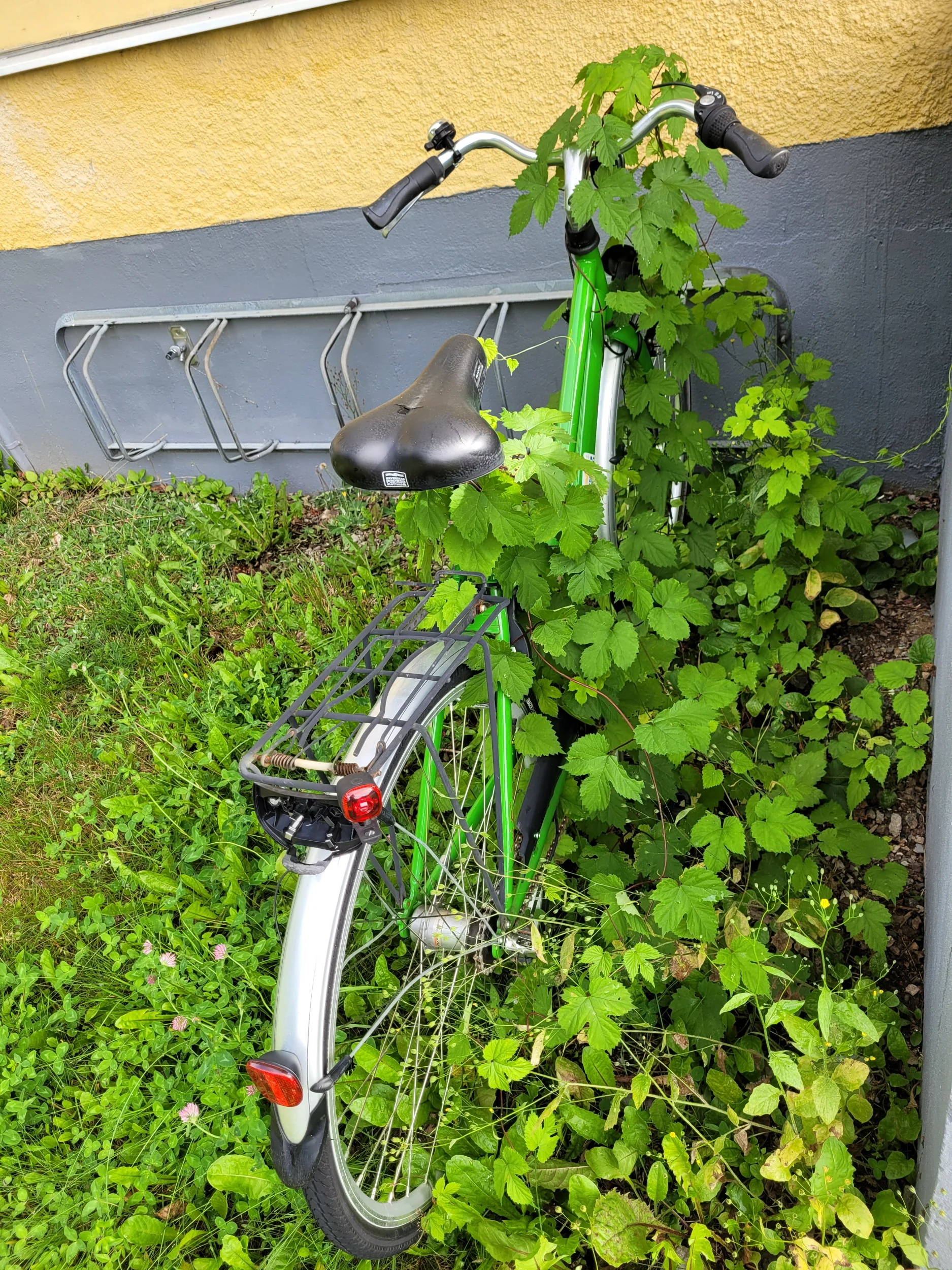 20250806_081924.webp