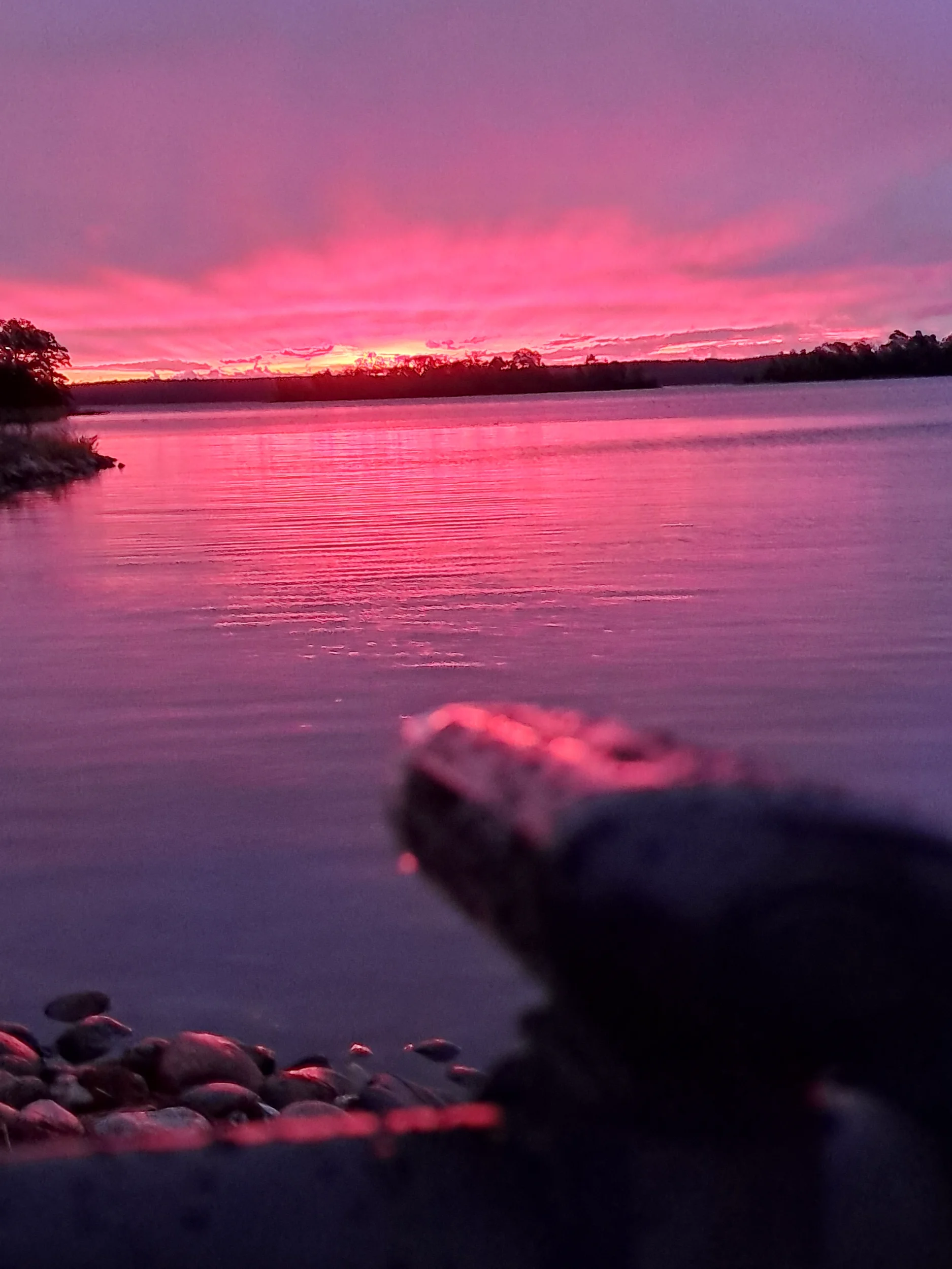 20250823_051145.webp
