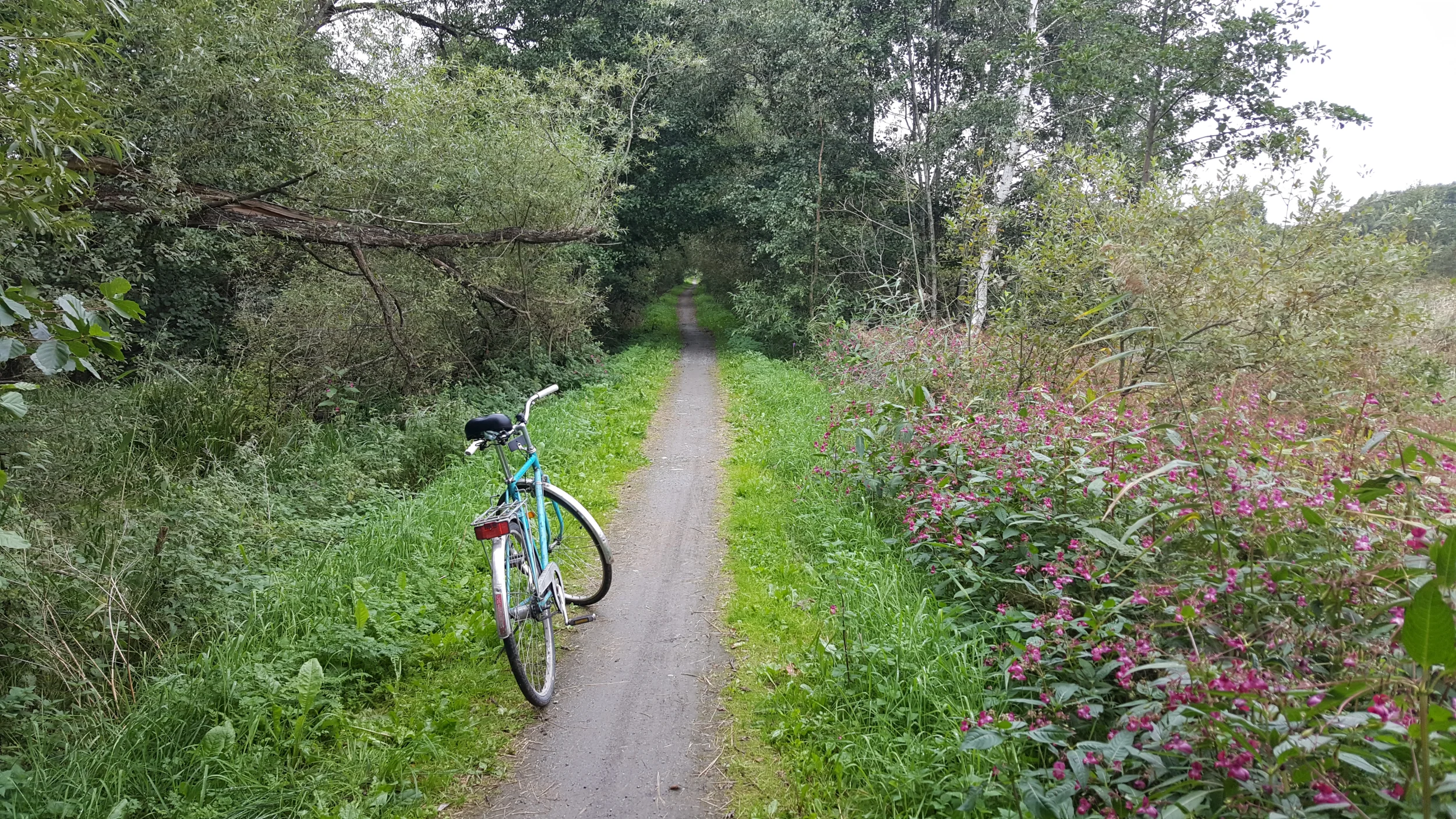 20250831_161049 - Copy.webp