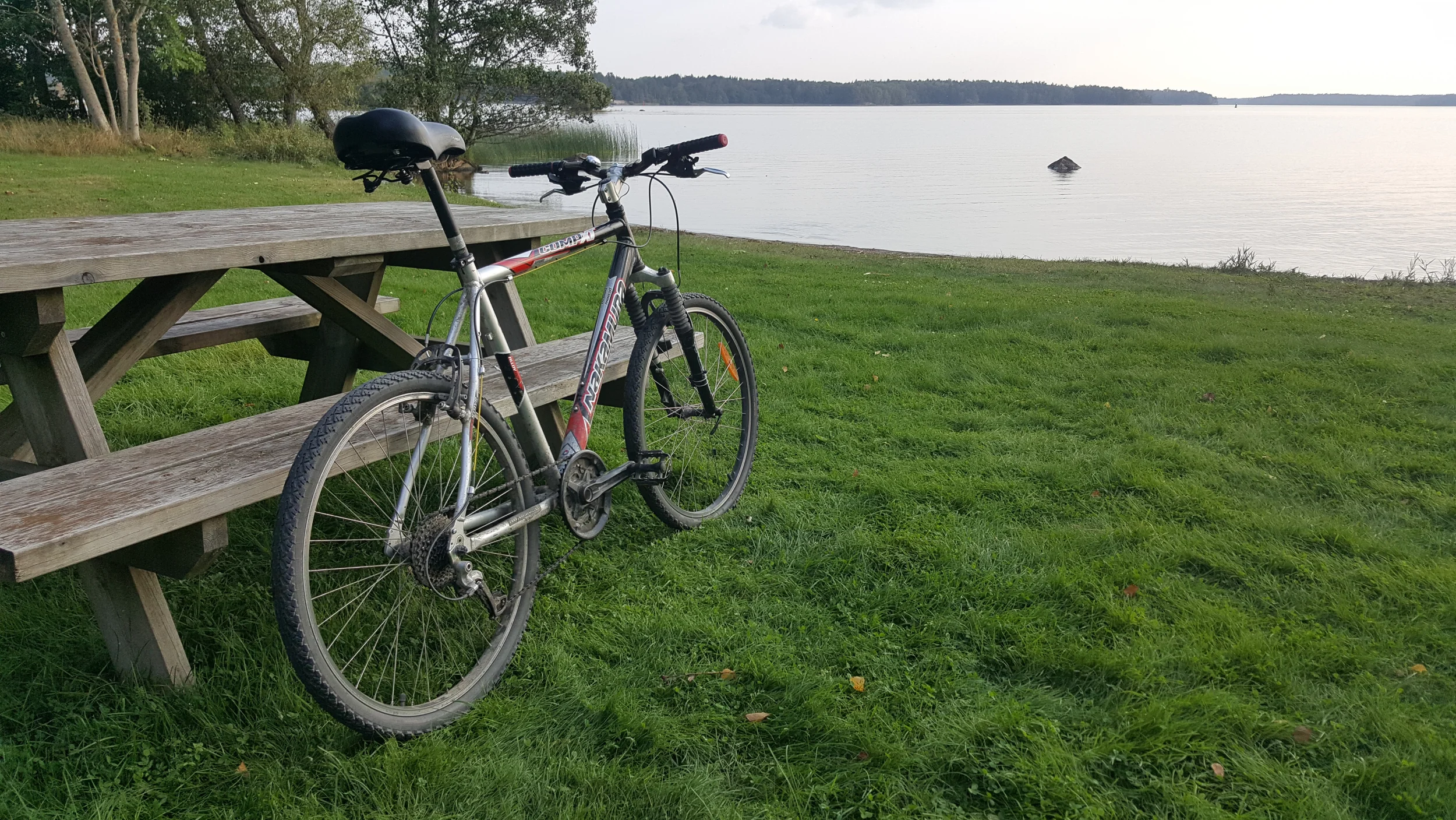 20250908_171300 - Copy.webp