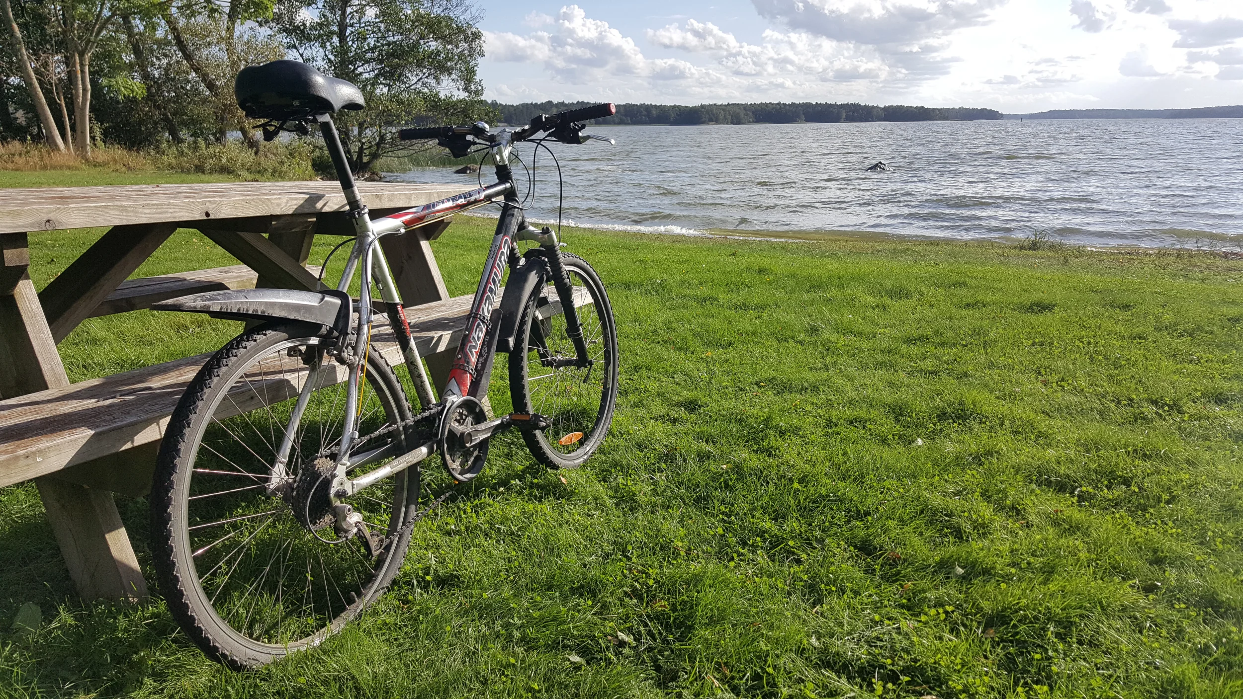 20250912_155121 - Copy.webp