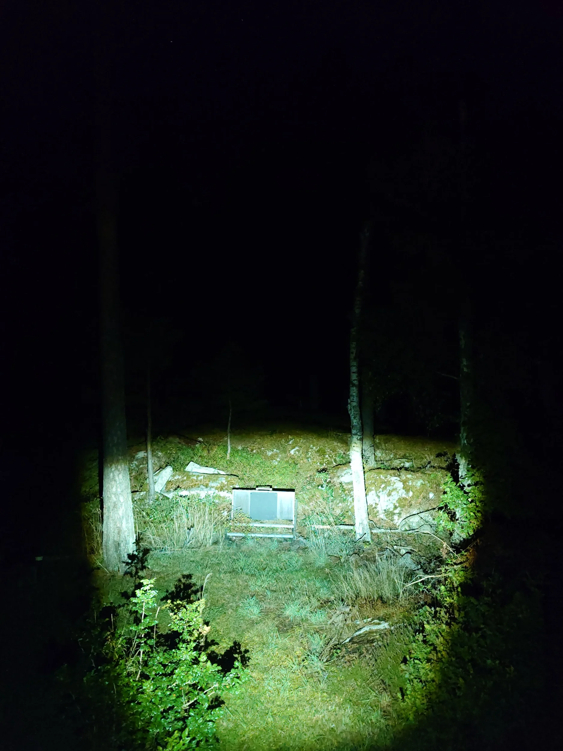 20250913_221442.webp