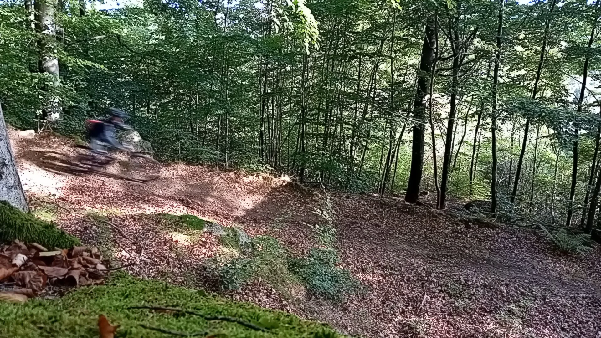 20250924_095735(1).webp