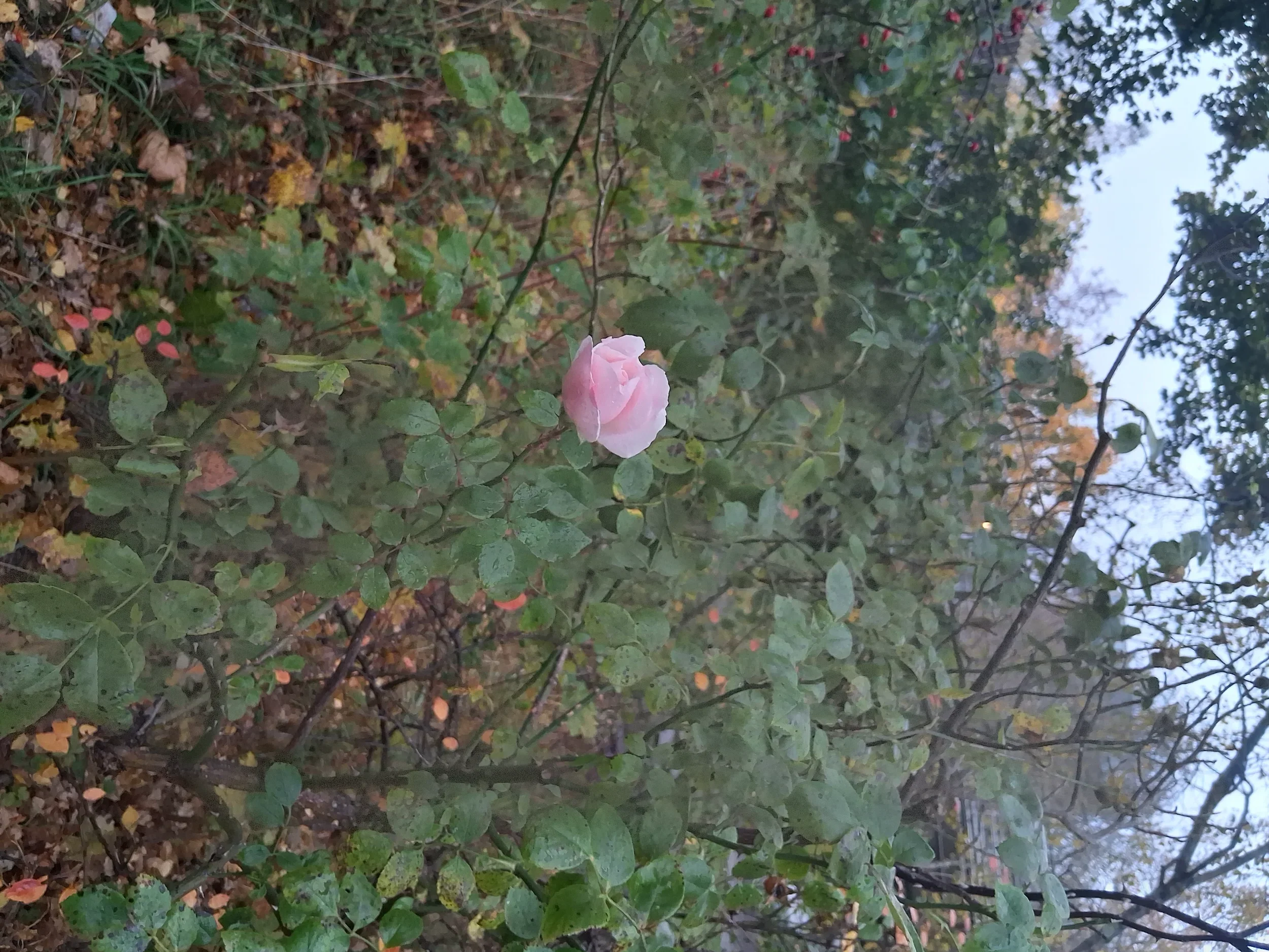 20251022_130455.webp