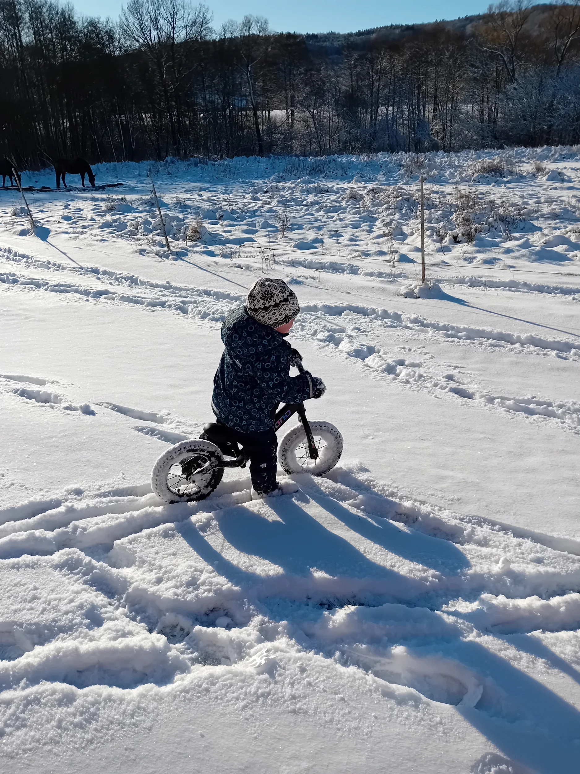 20251121_112209.webp