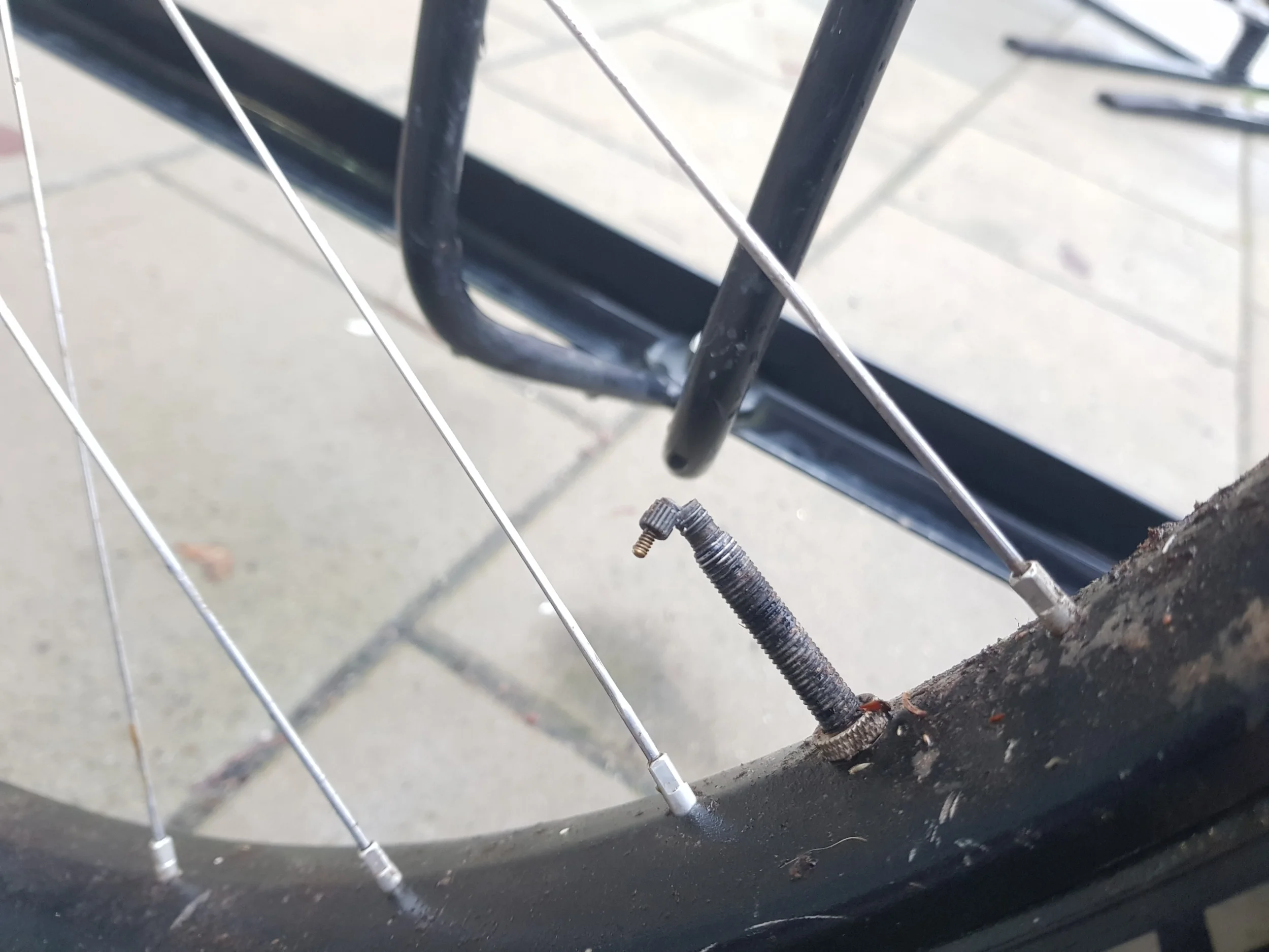 20251206_144054.webp