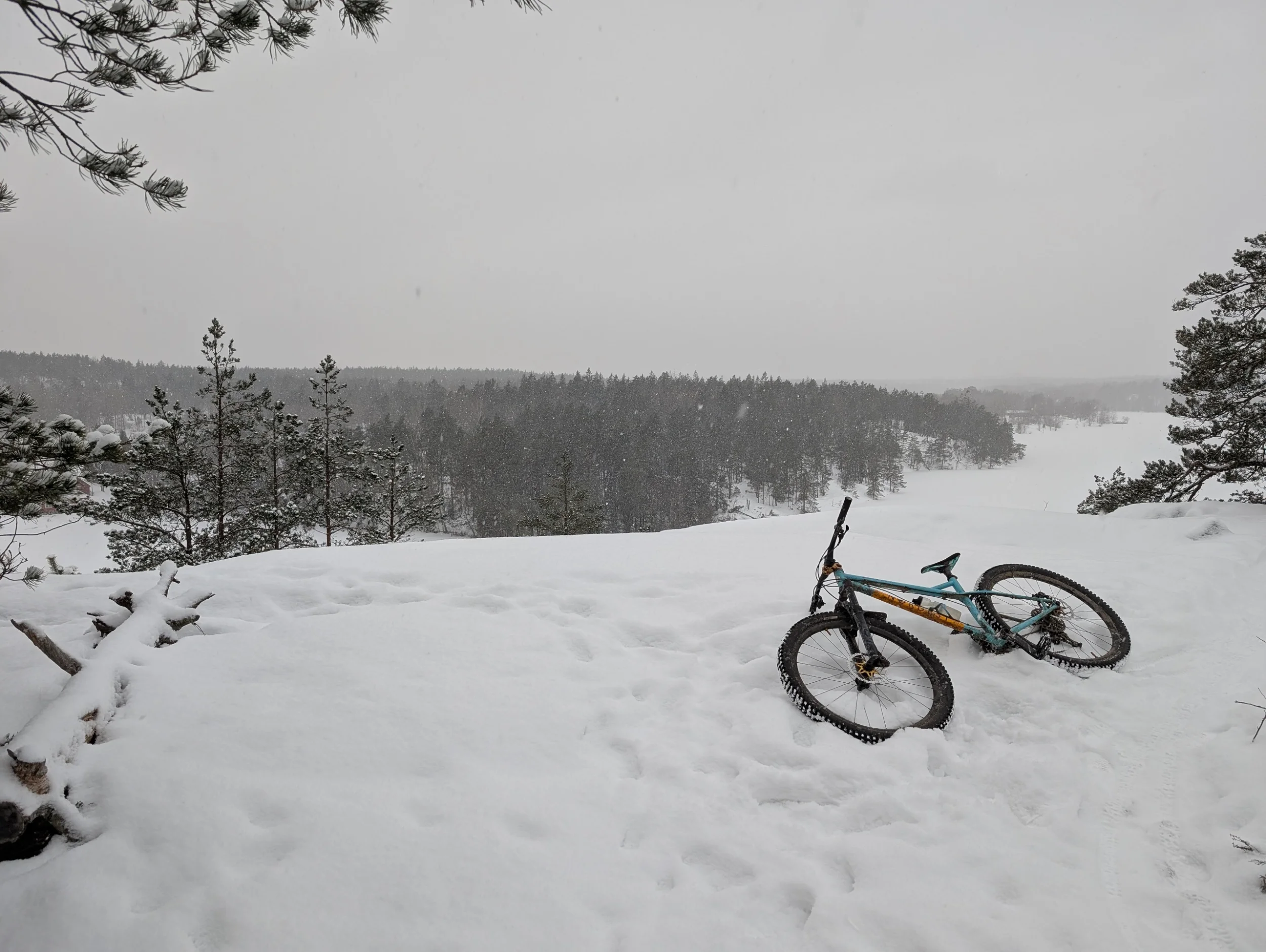 2026-01-25-15-39-14-034.webp