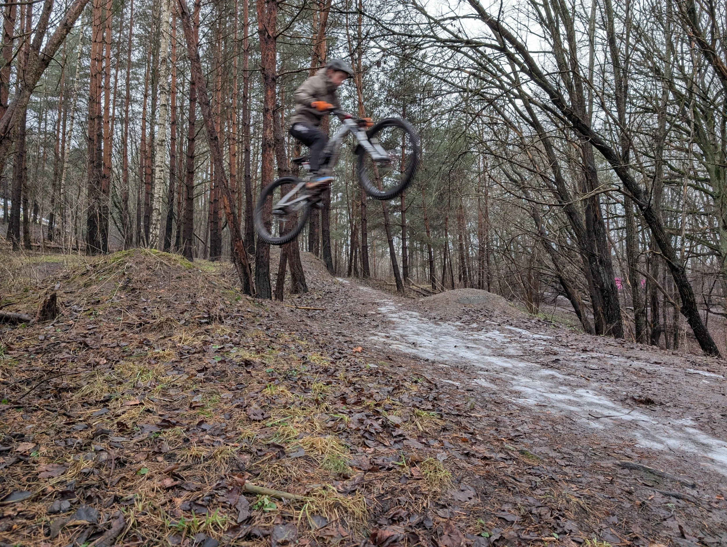 2026-03-01-13-15-10-113.webp