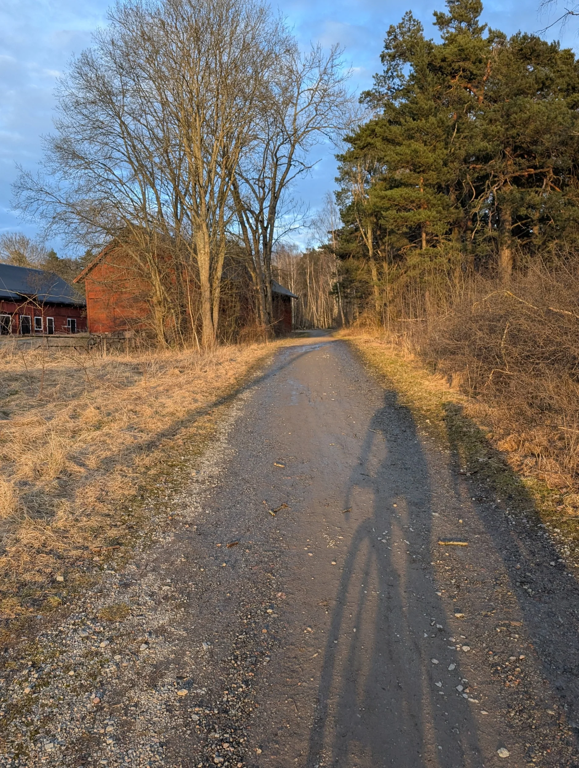 2026-03-21-18-17-40-152.webp