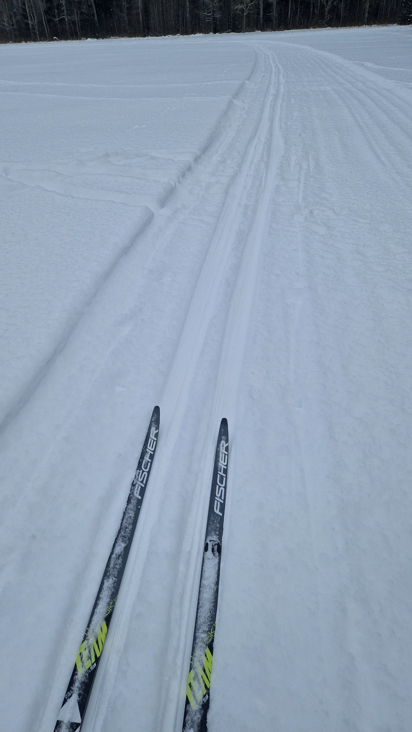 20260105_115229.webp