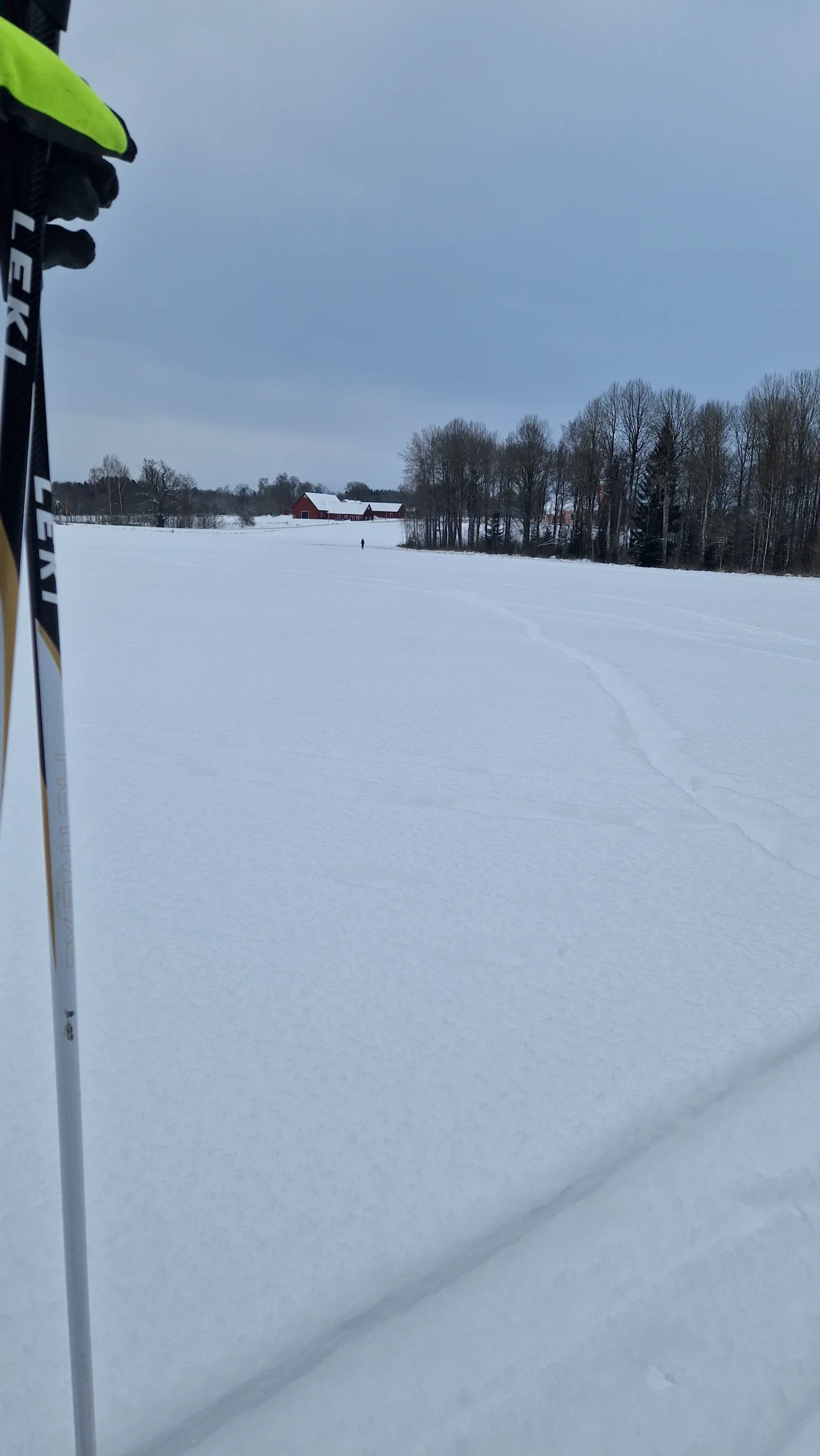 20260105_115238.webp
