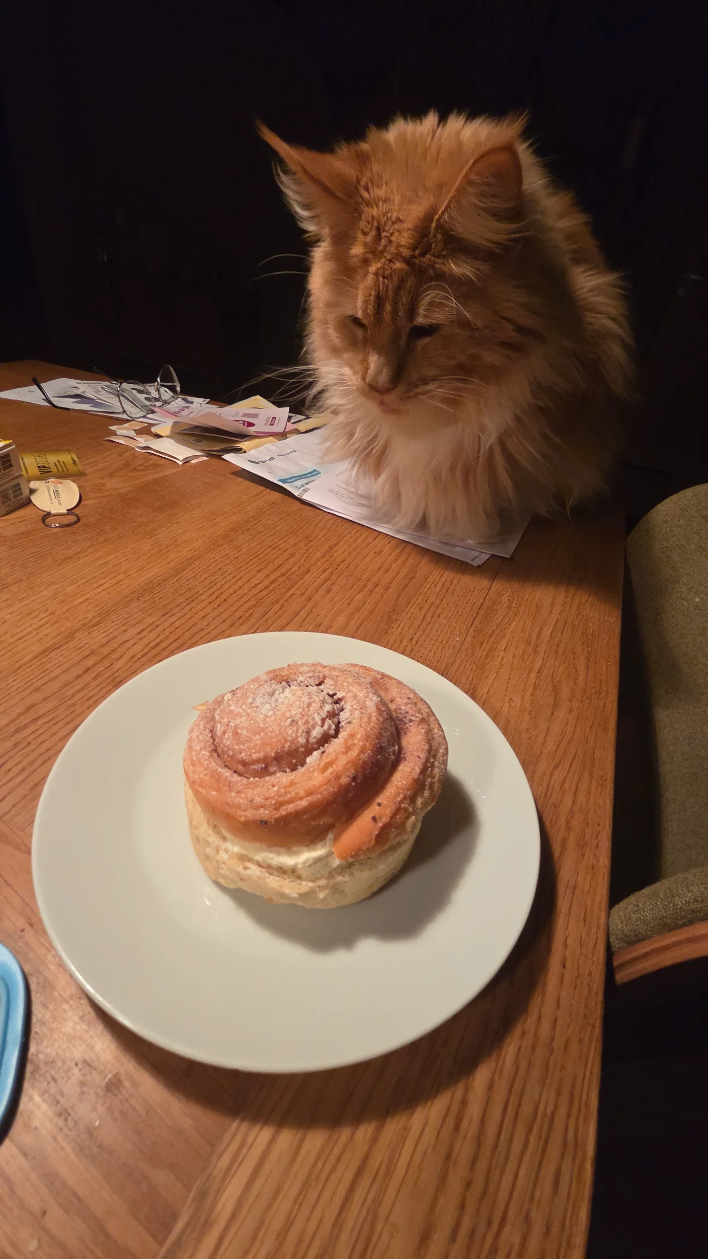 20260126_205927.webp