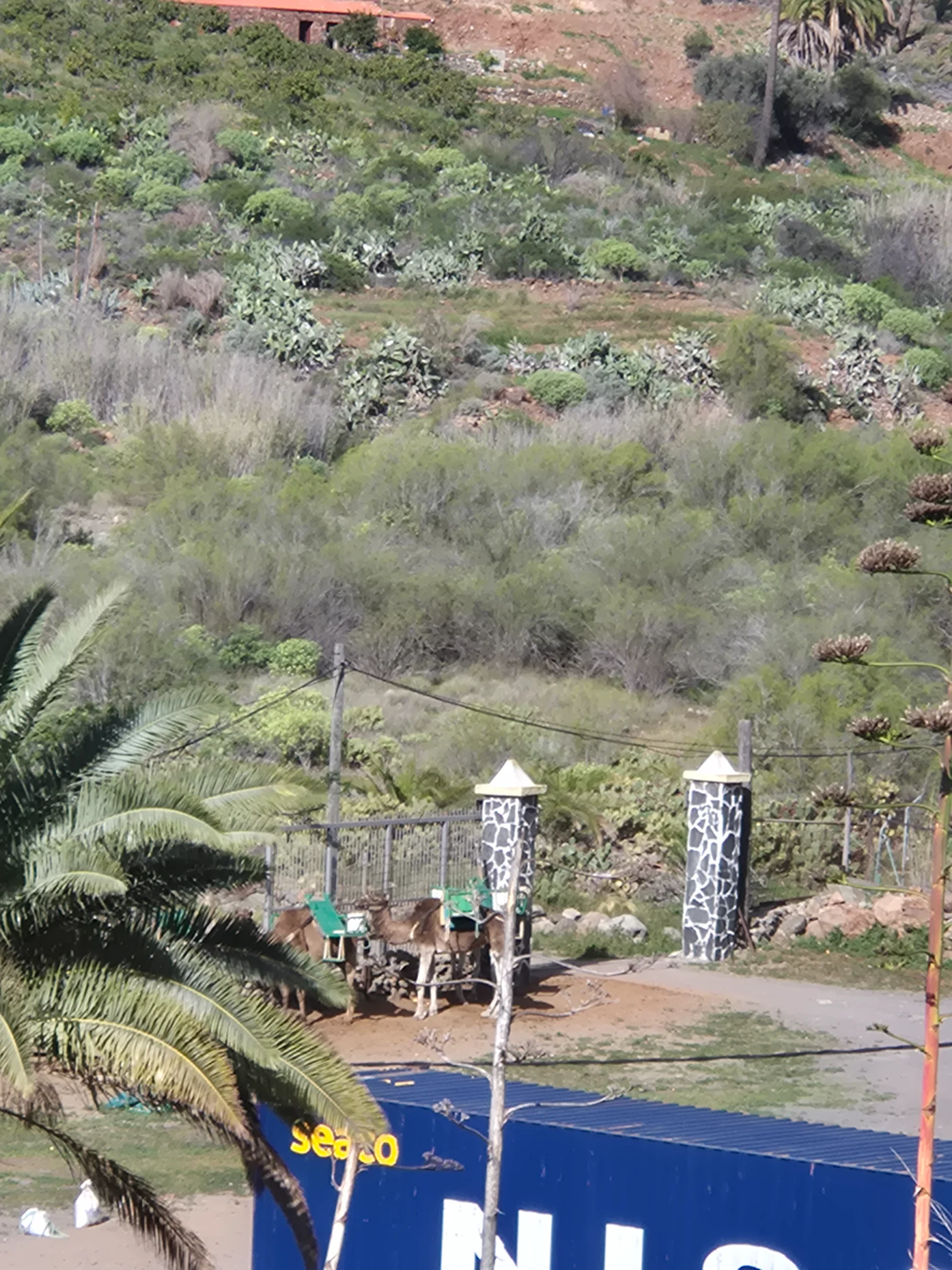 20260204_103606.webp