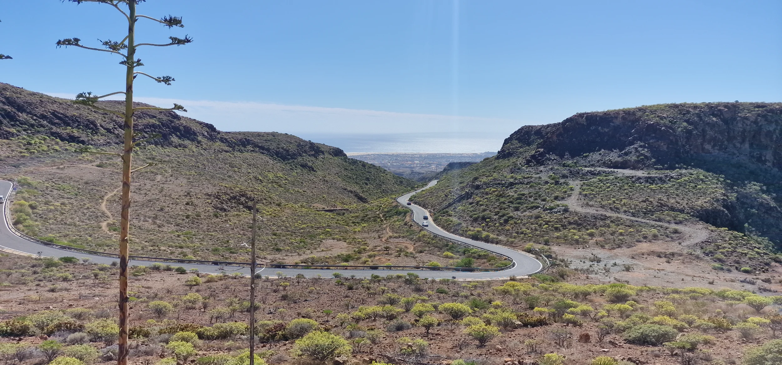 20260206_133909.webp