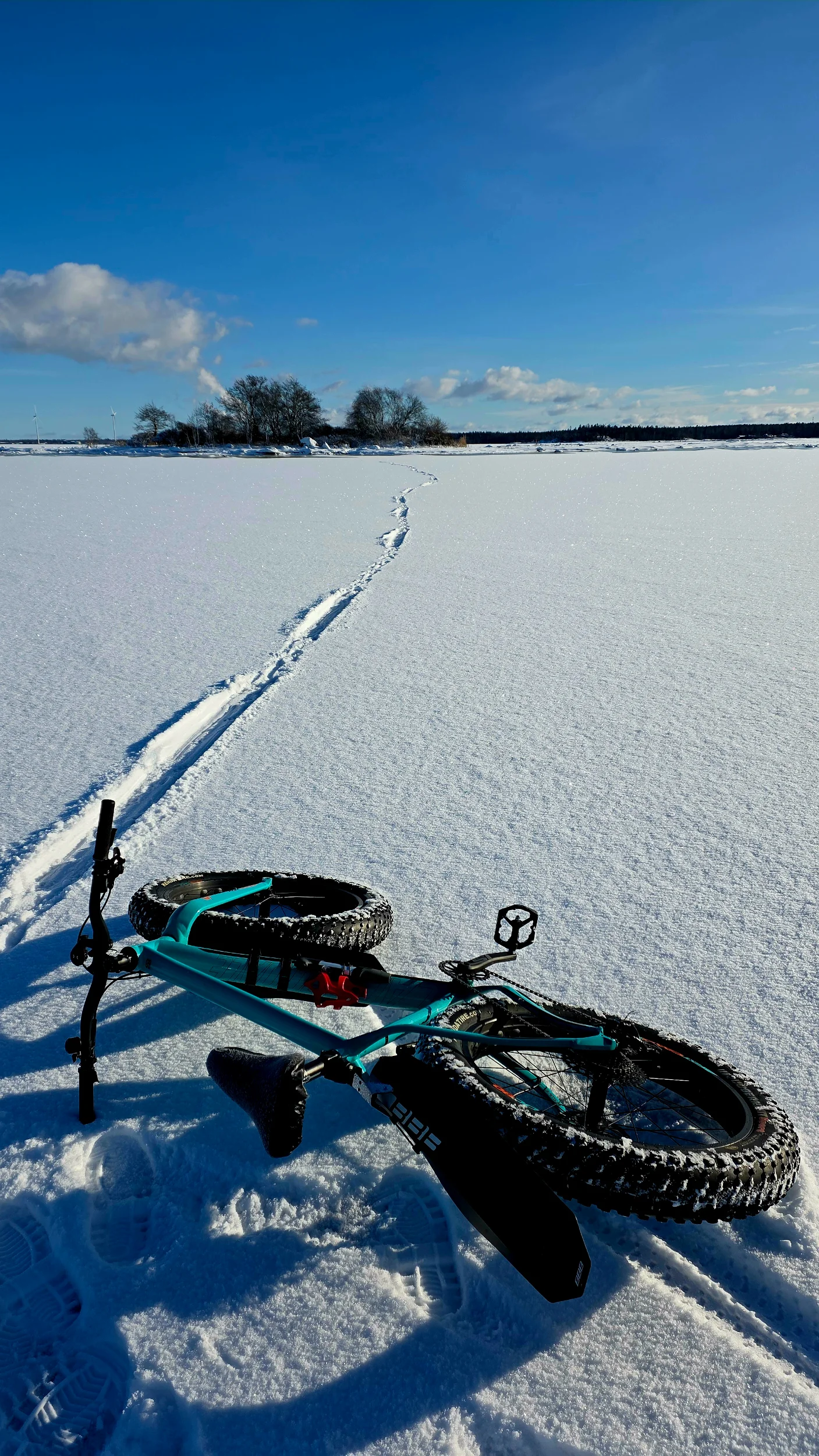 20260222_135241(1).webp