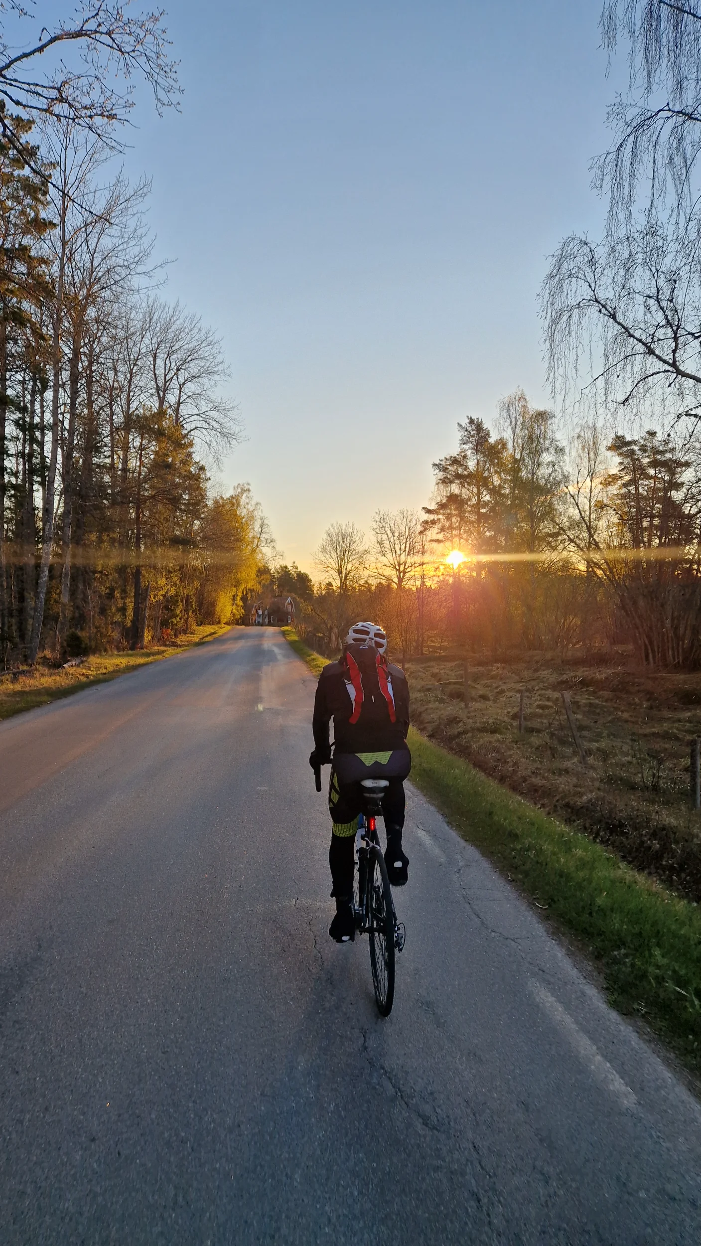 20260424_055532.webp