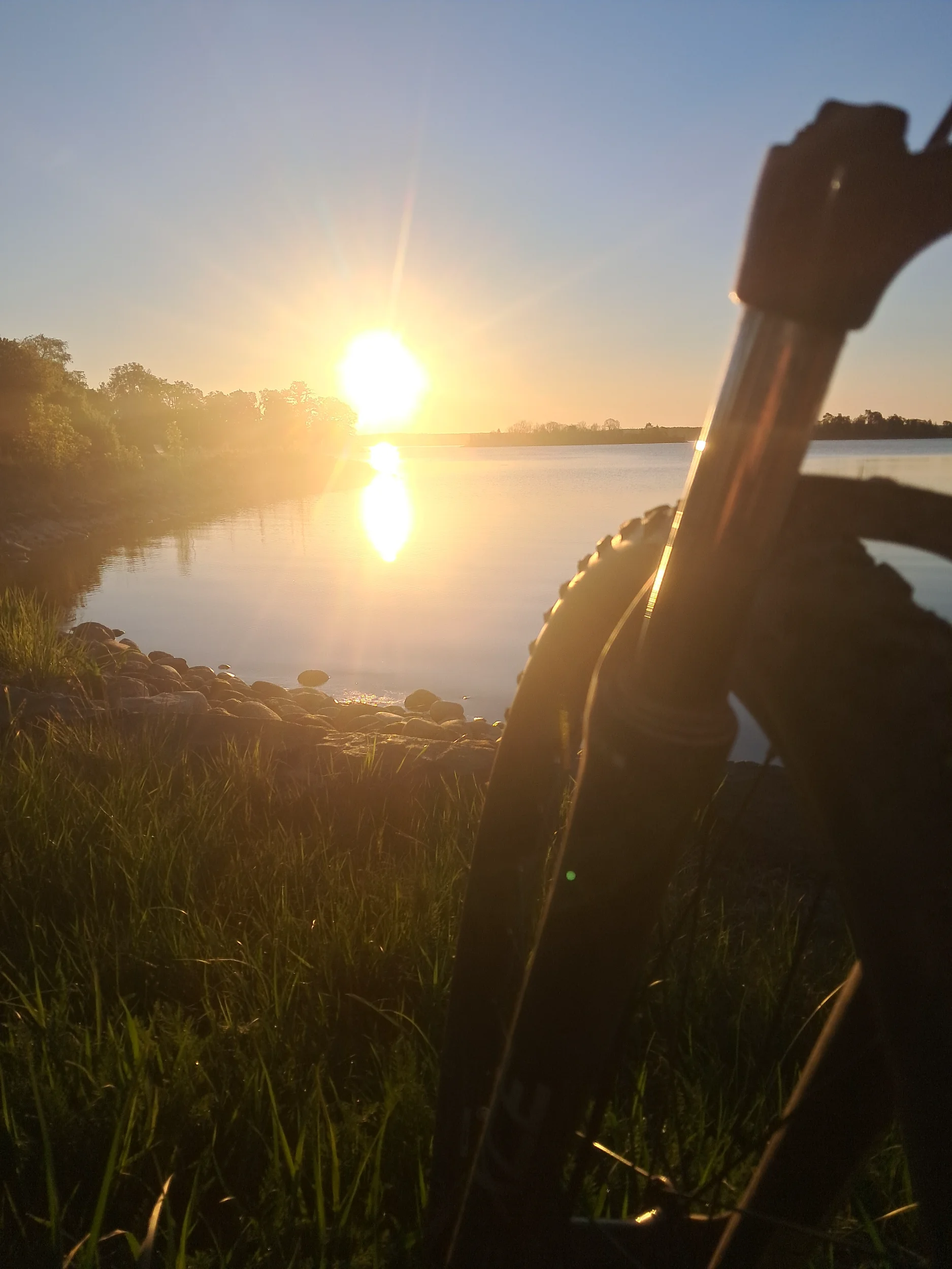20260523_044319.webp