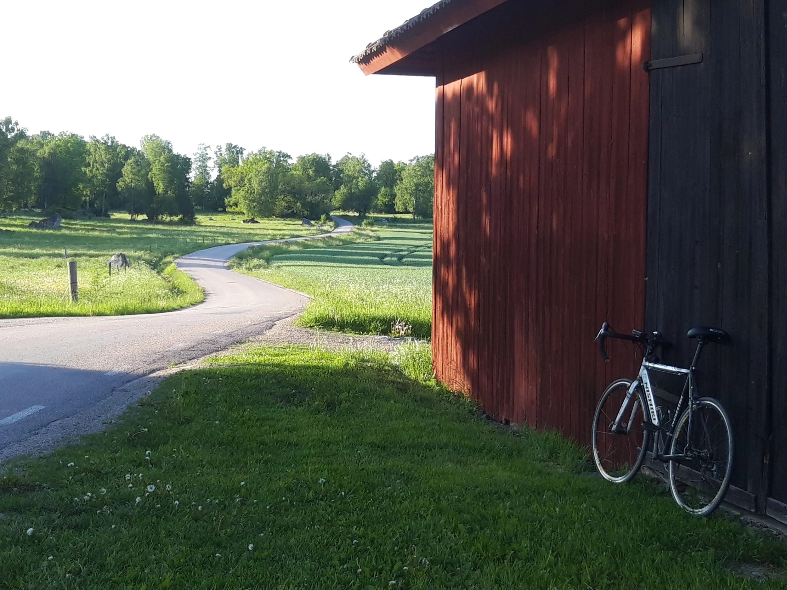 20260531_193204[1].webp