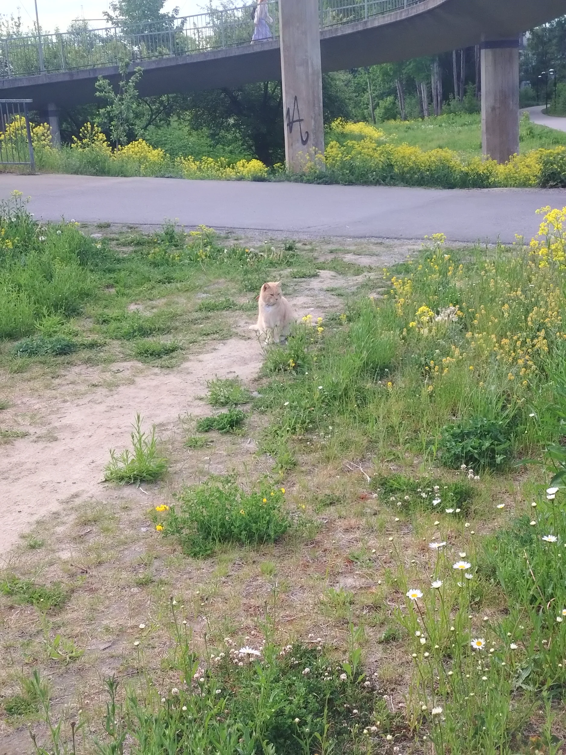 20260601_073212.webp