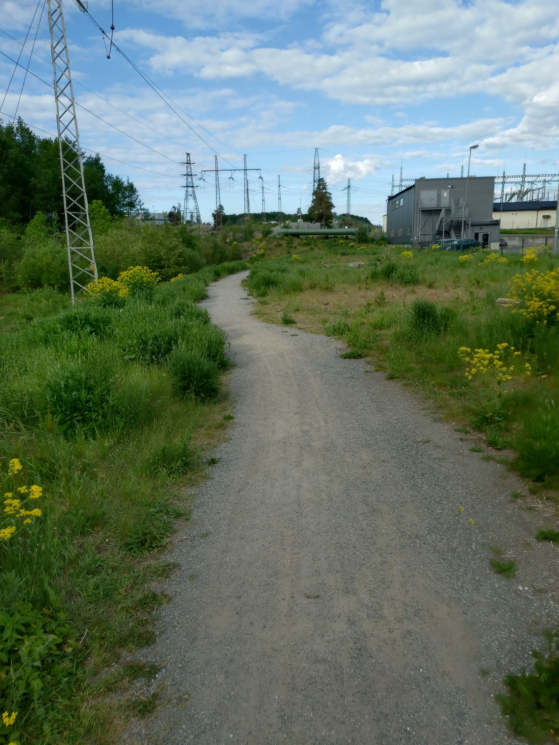 20260601_073818.webp