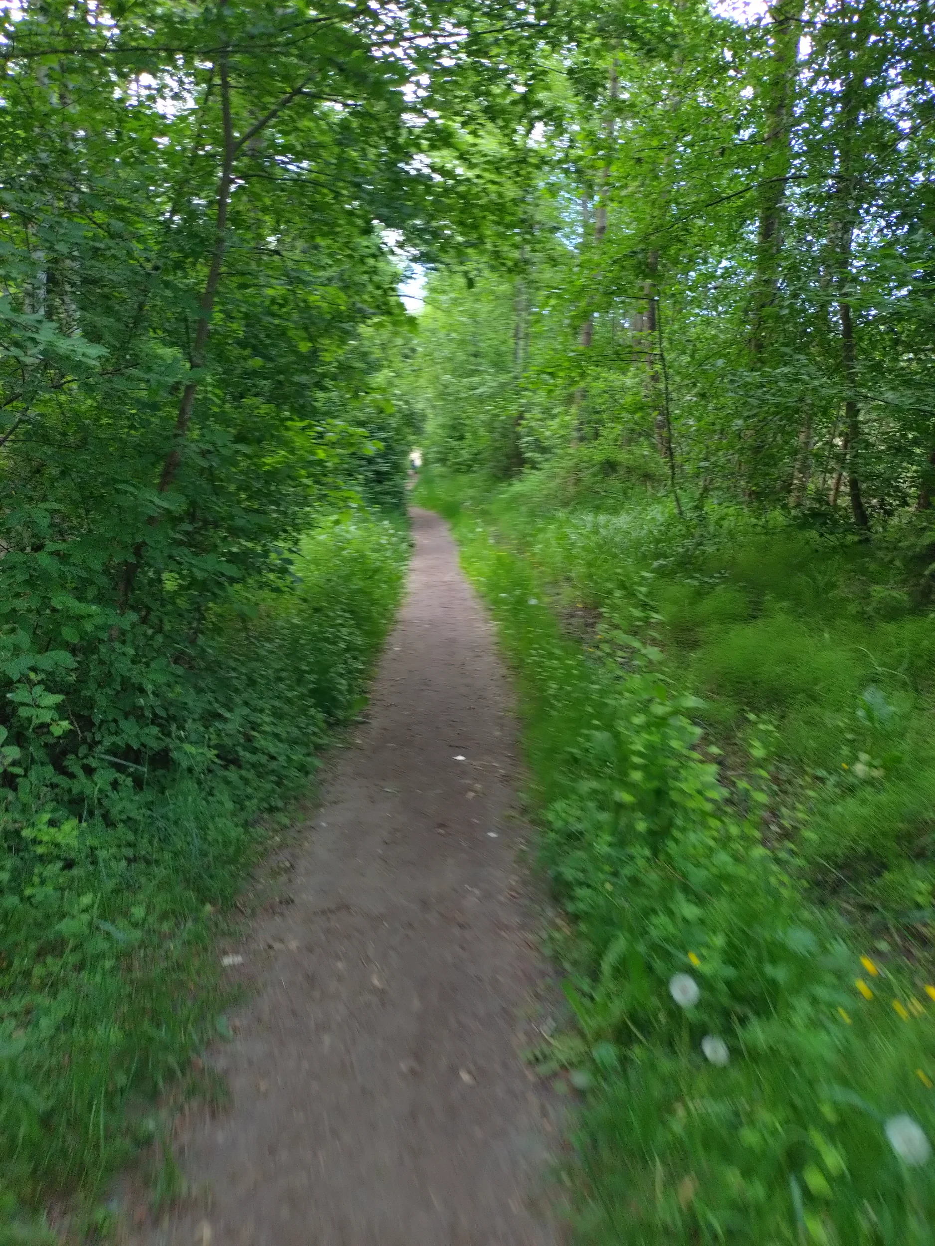 20260601_073910.webp