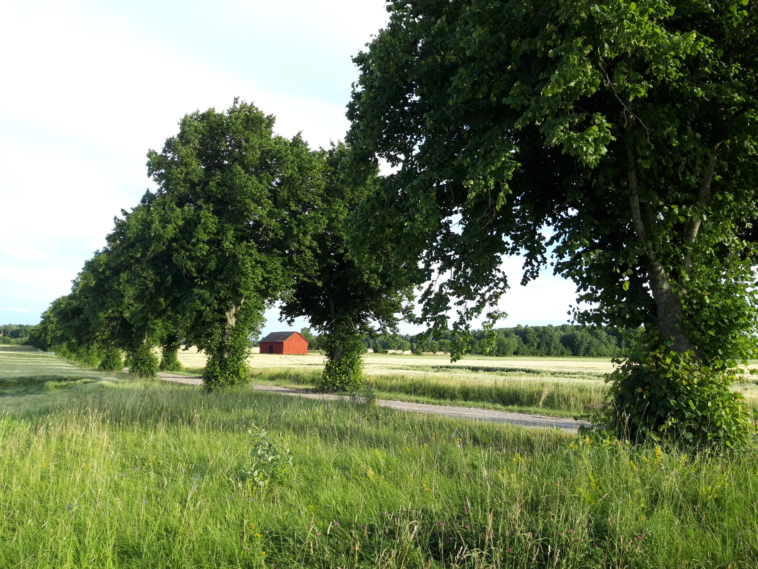 20260712_192132[1].webp