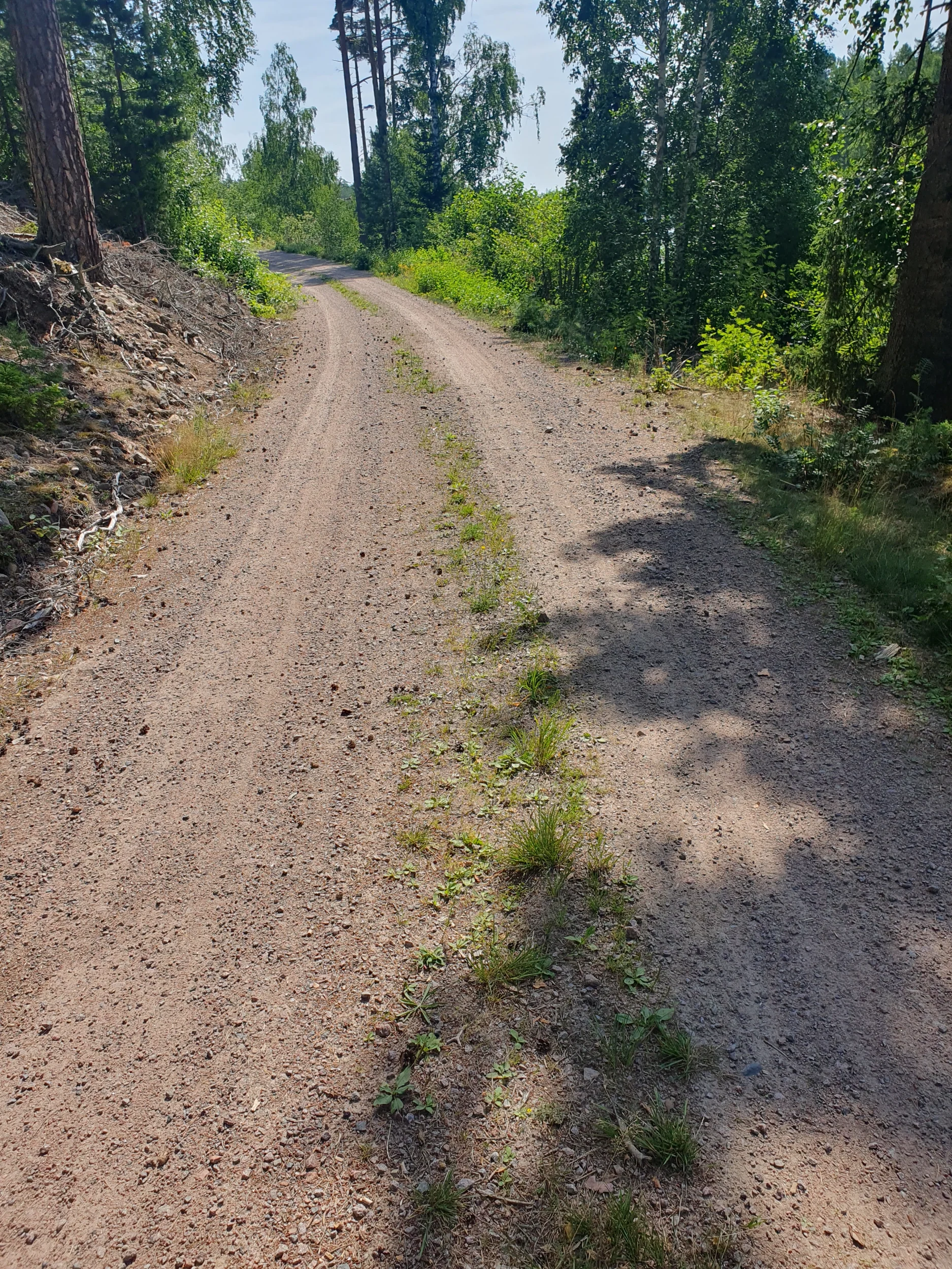 20260716_113144.webp