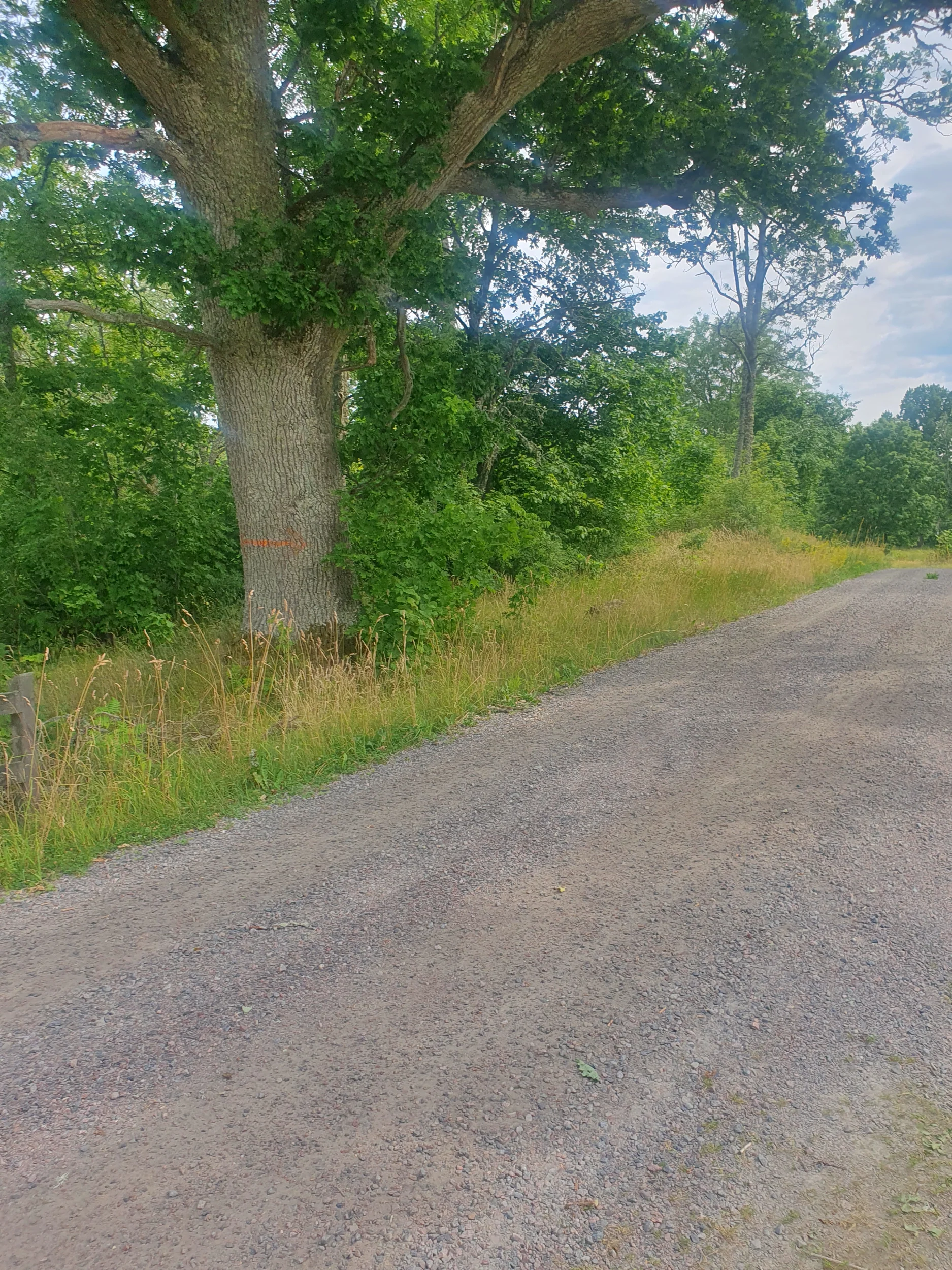 20260717_150904.webp