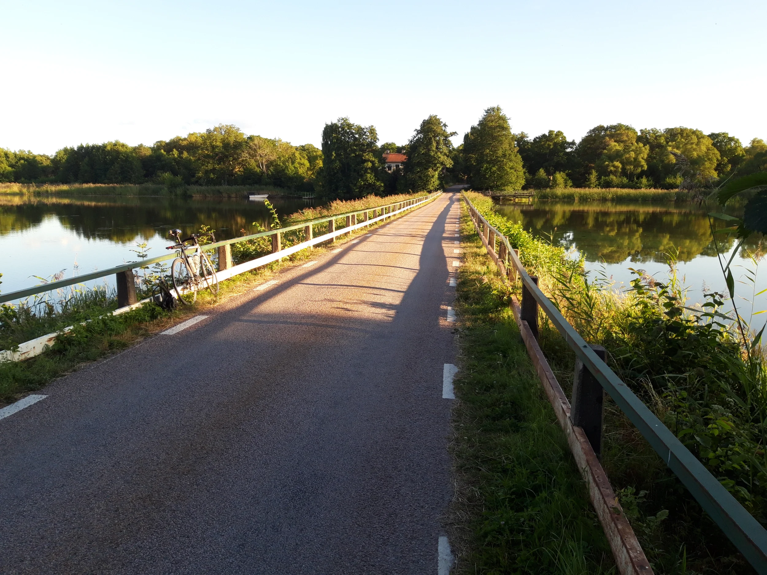 20260804_193711[1].webp