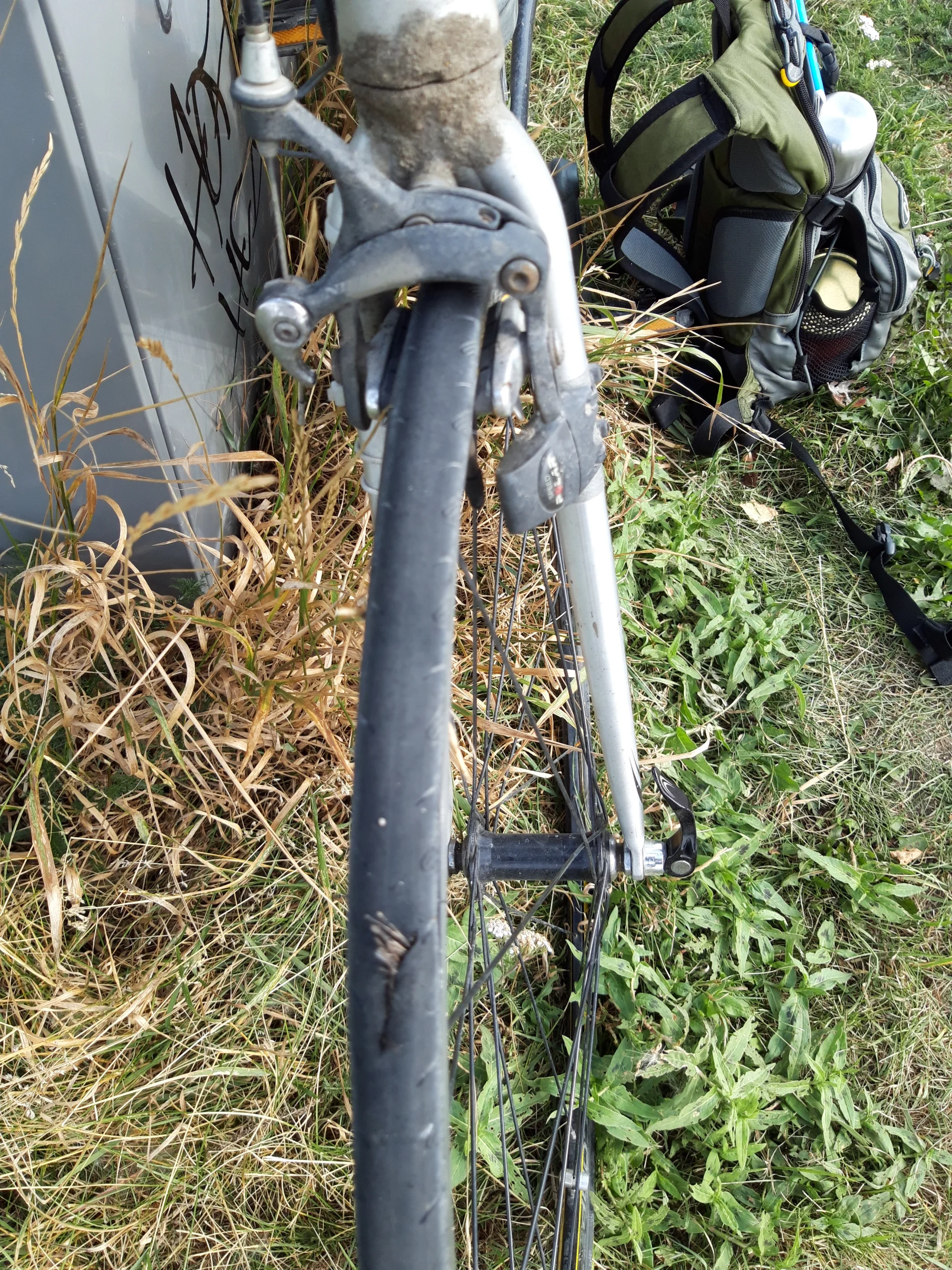 20260815_121352[1].webp