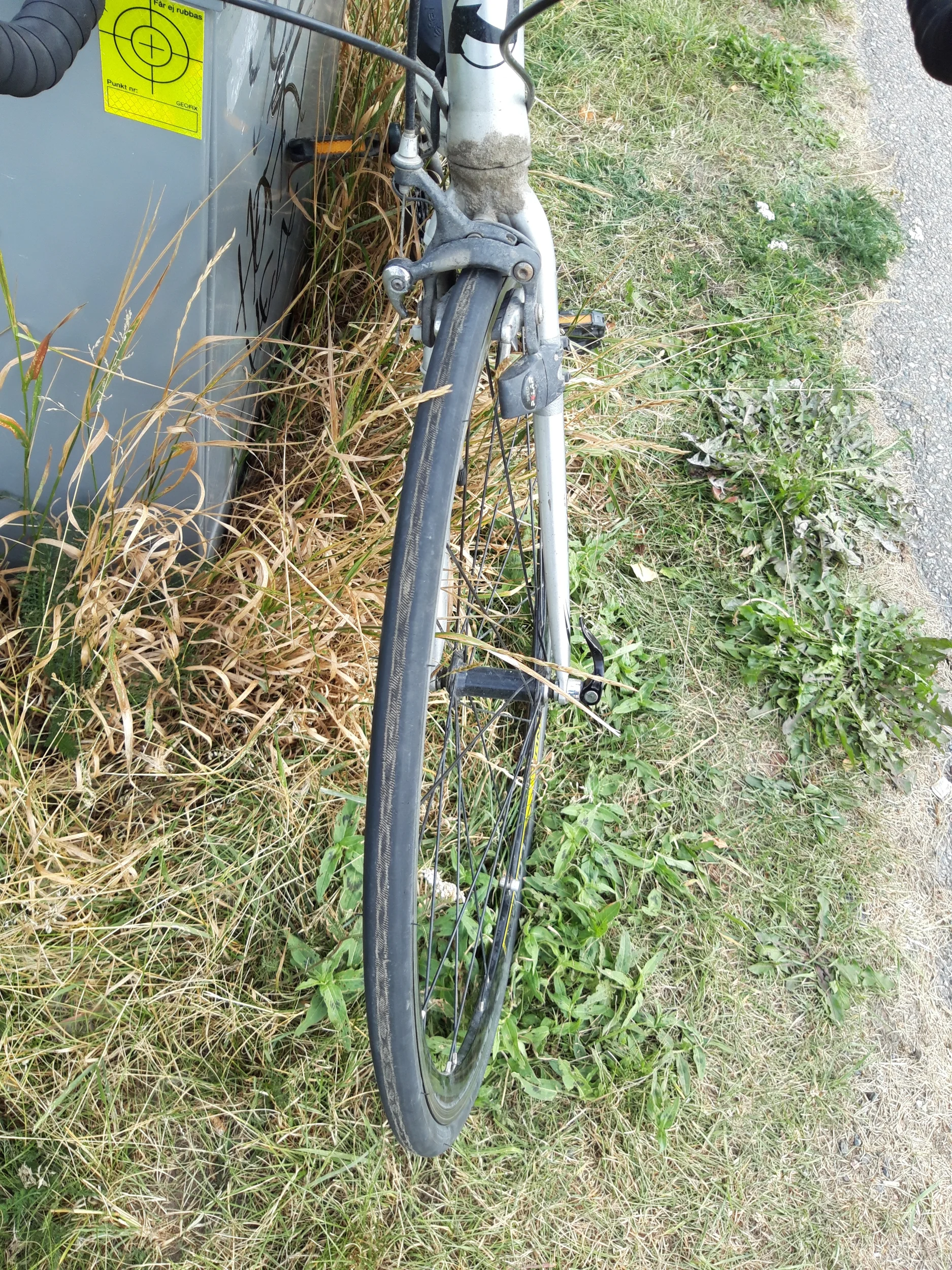 20260815_123742[1].webp